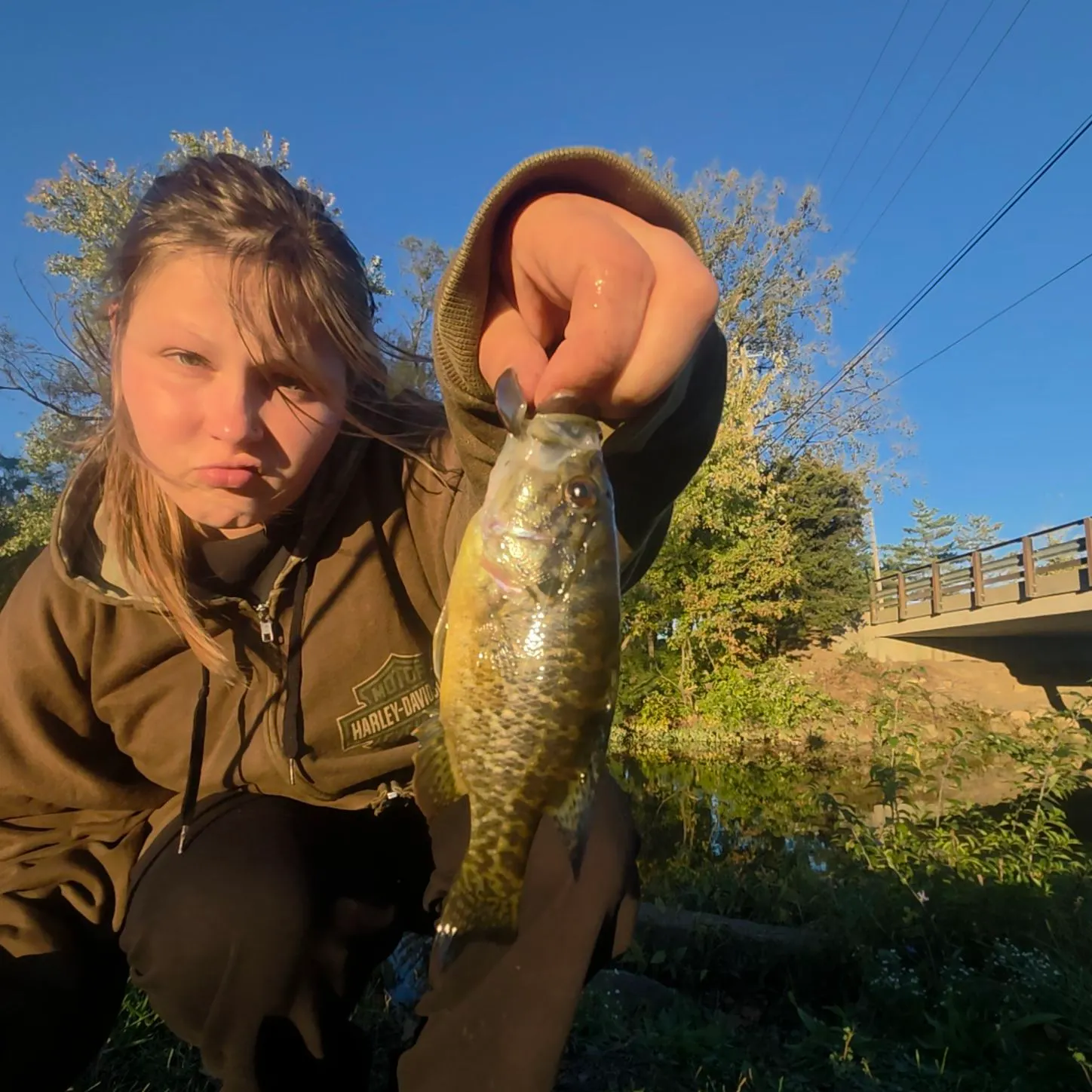 Warmouth caught on Fishbrain