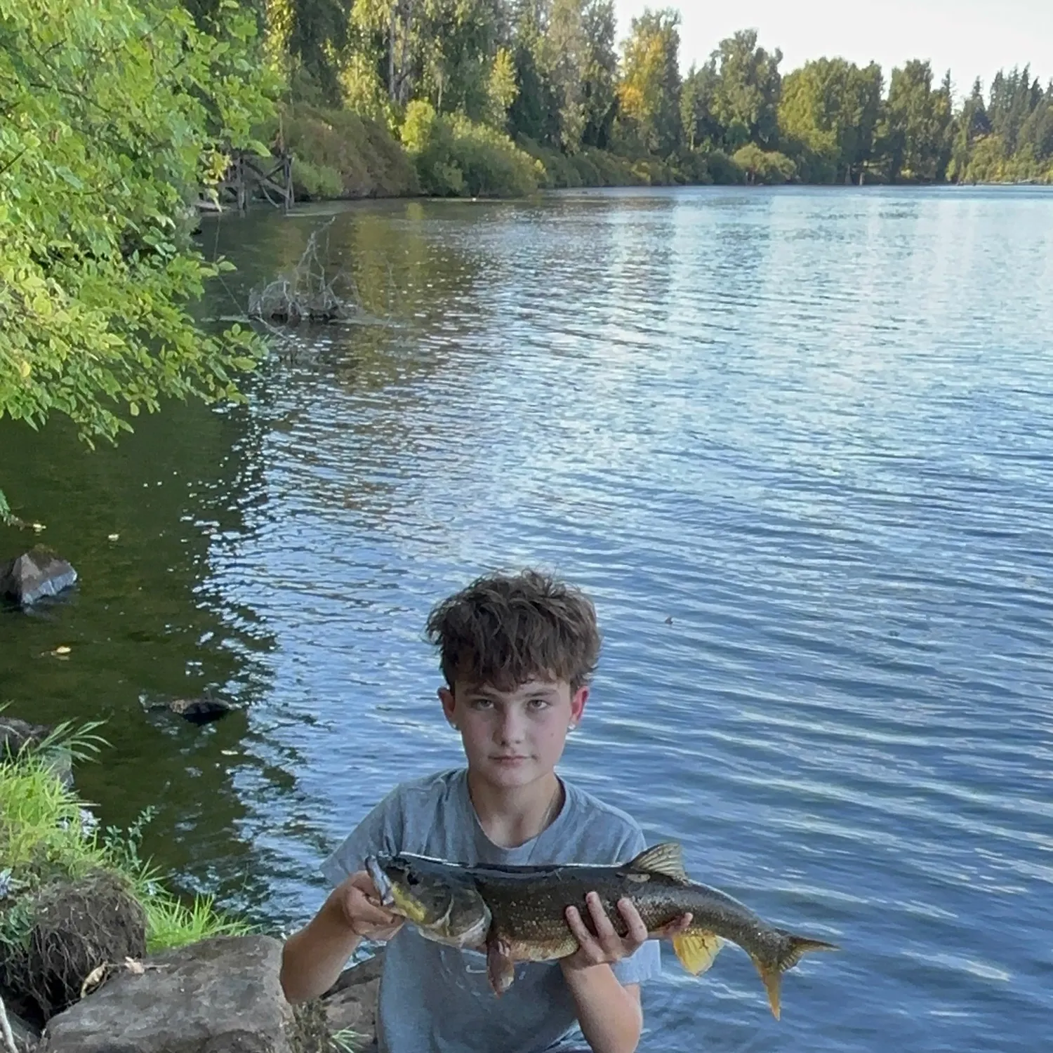 Northern pikeminnow caught on Fishbrain