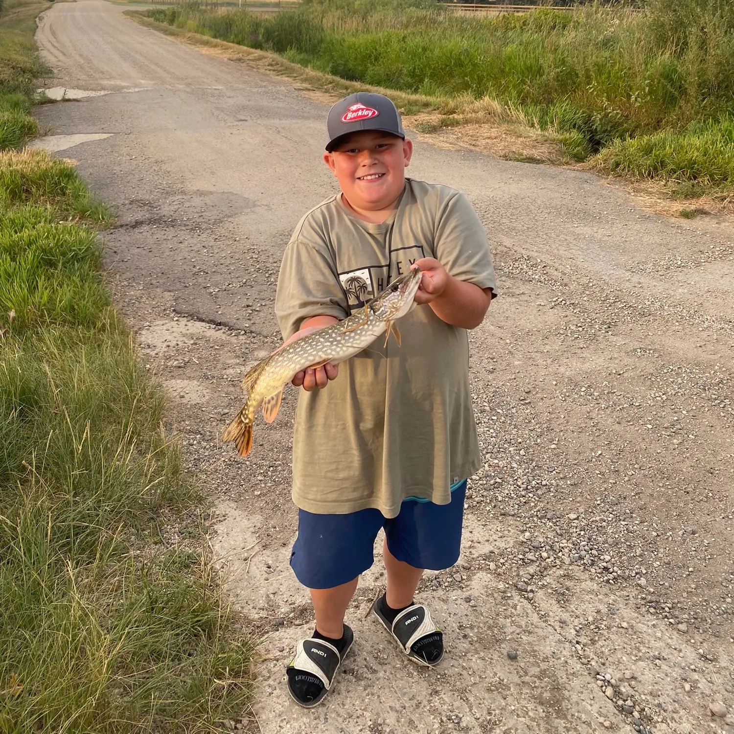 Northern pike caught on Fishbrain