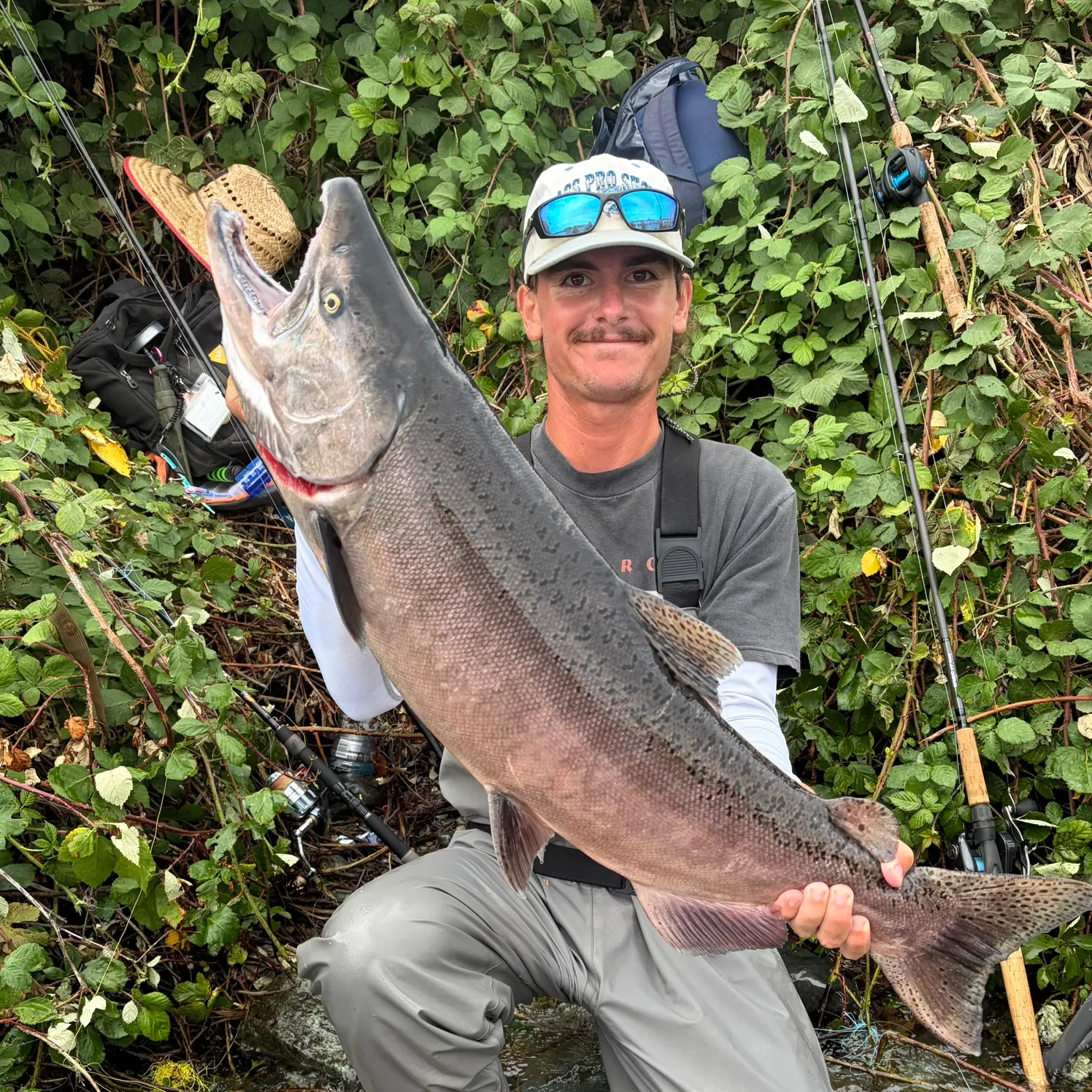 Chinook salmon caught on Fishbrain