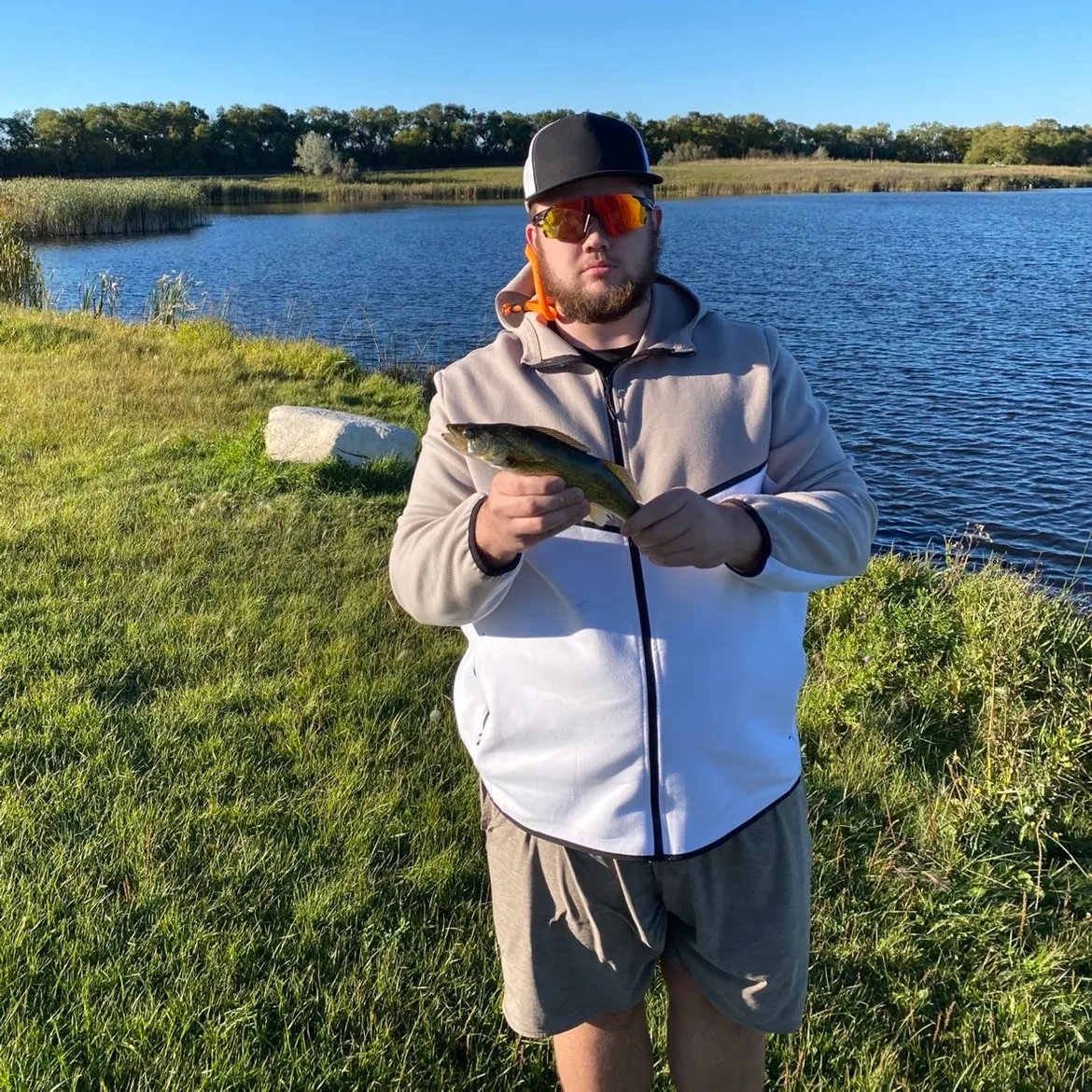Walleye caught on Fishbrain