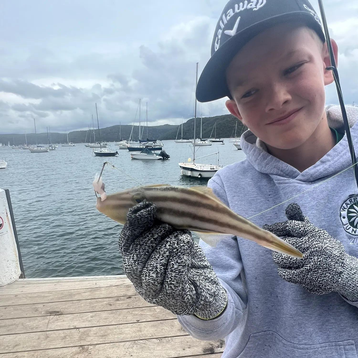 The most recent Chinaman-leatherjacket catches on Fishbrain