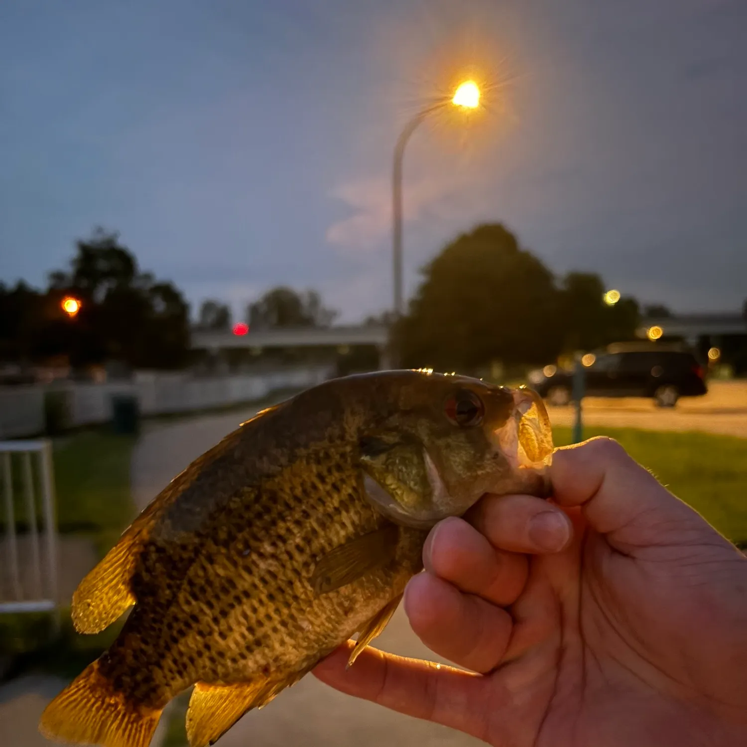 catch