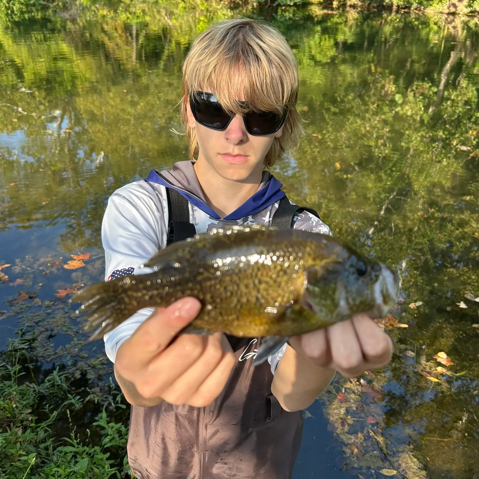 The most recent Warmouth catches on Fishbrain