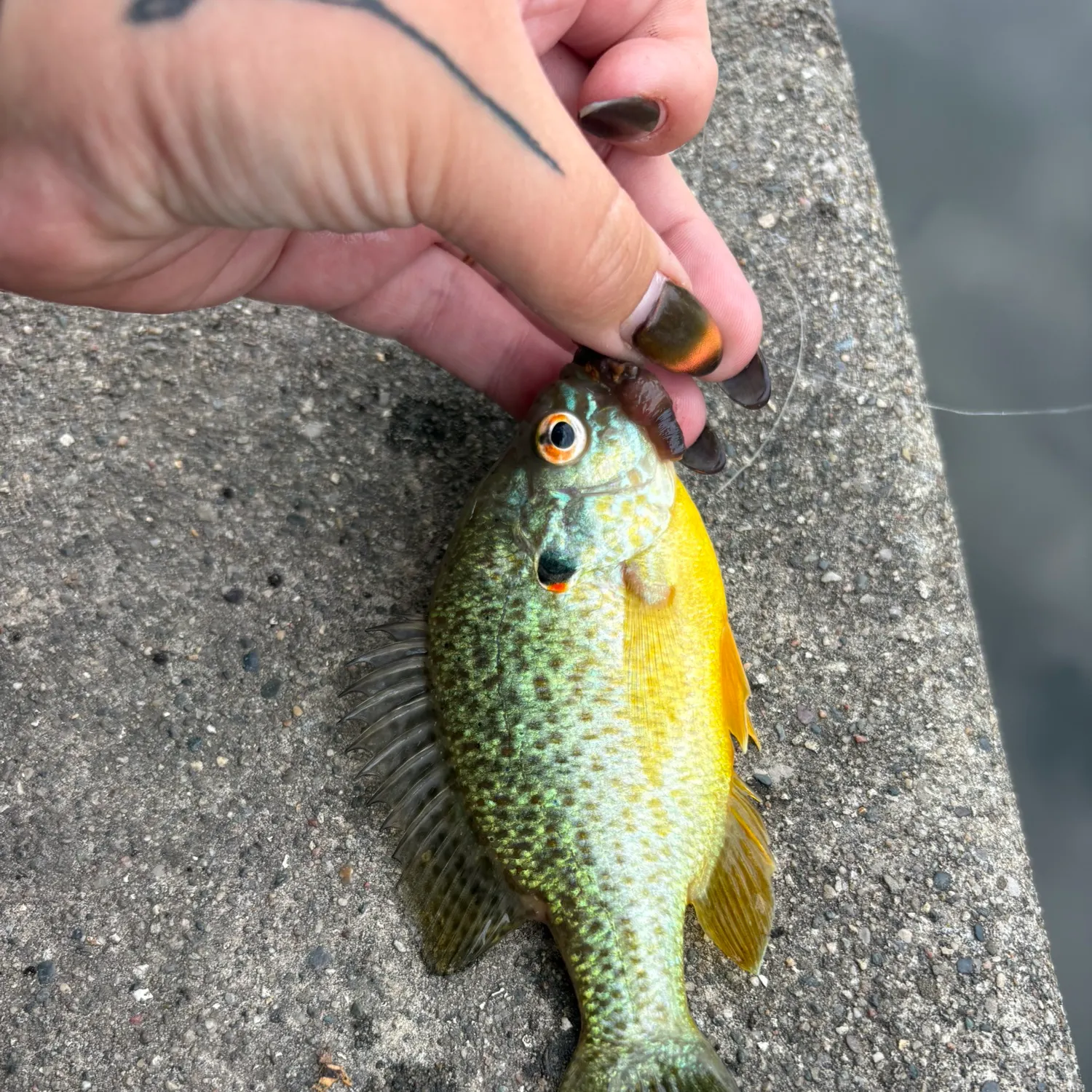 catch