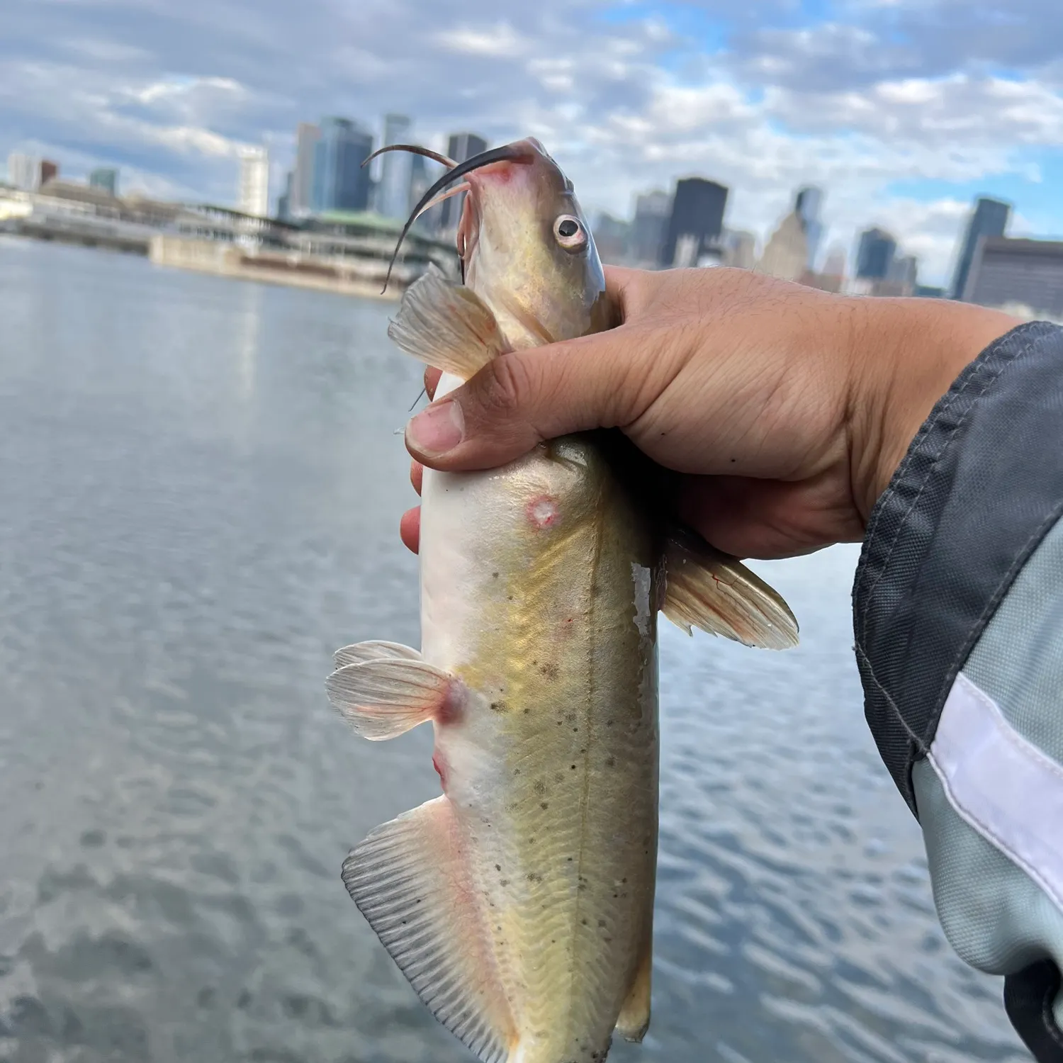 catch