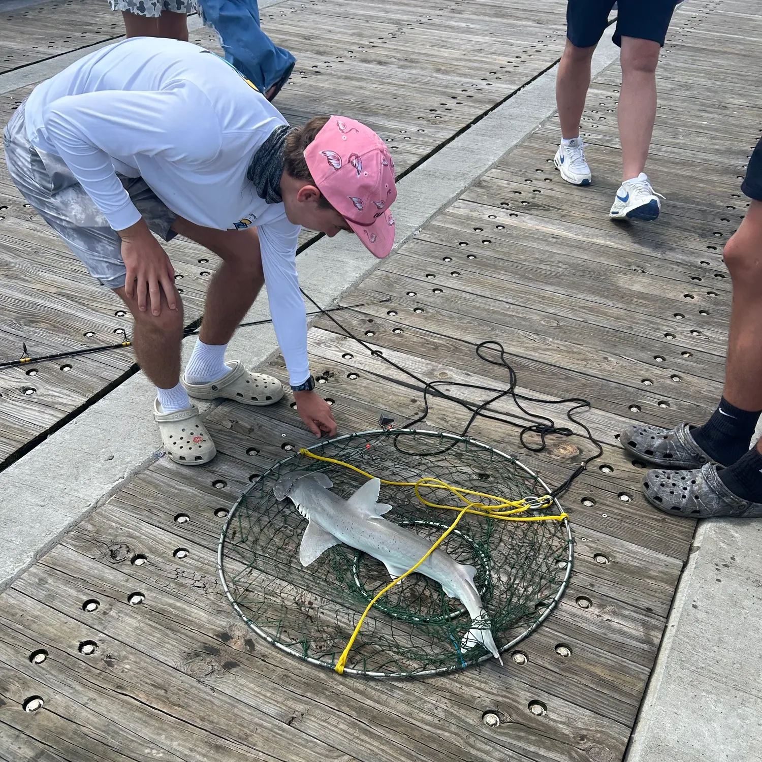 Bonnethead shark caught on Fishbrain