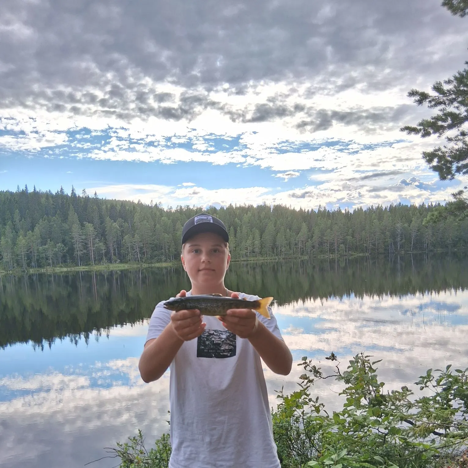 The most recent Lake trout catches on Fishbrain