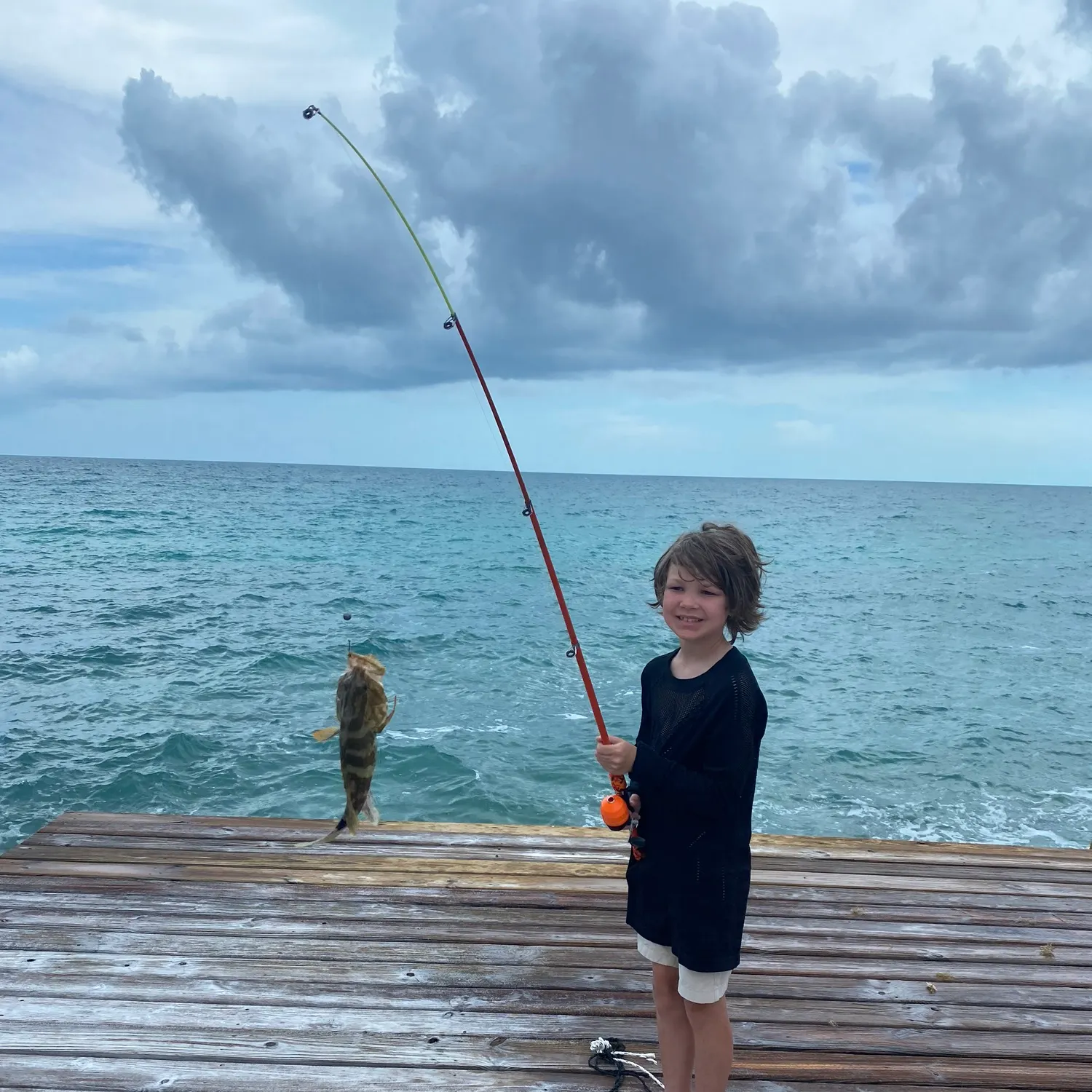 The most recent Nassau grouper catches on Fishbrain