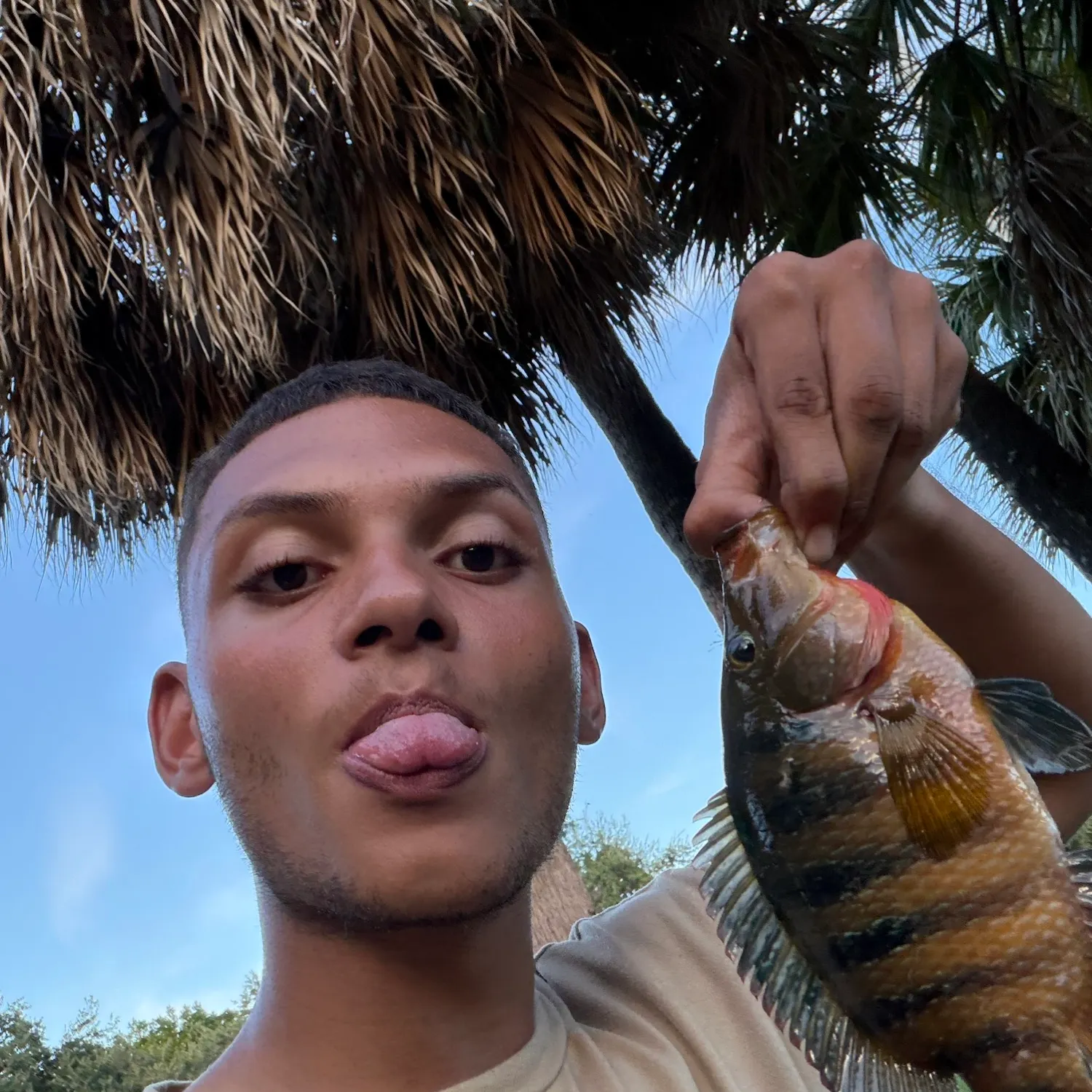 Mayan cichlid caught on Fishbrain