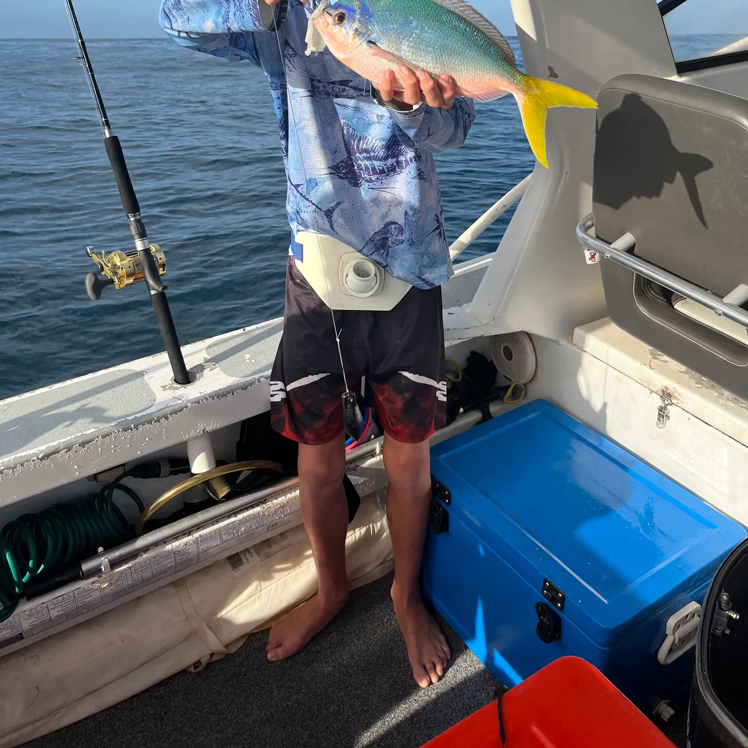 The most recent Redbelly yellowtail fusilier catches on Fishbrain
