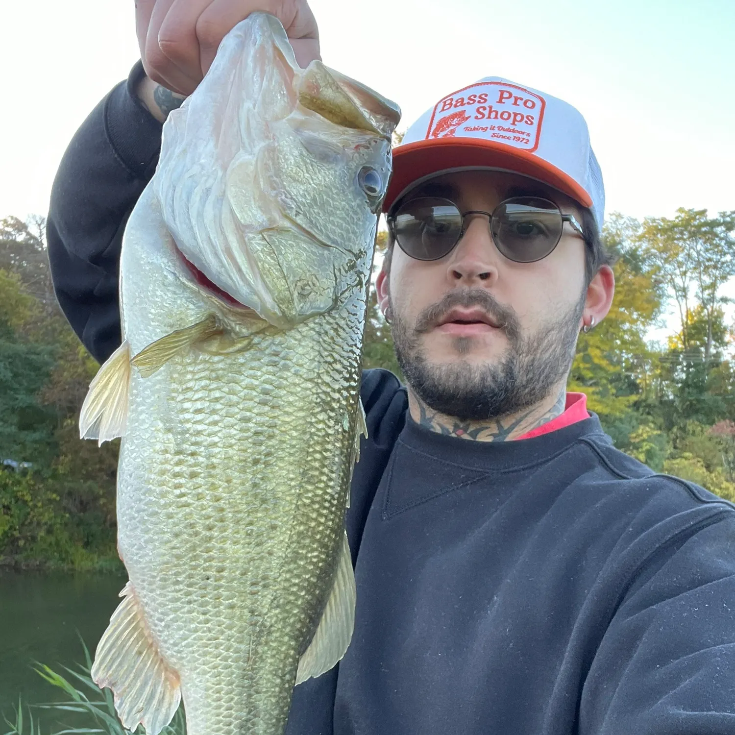 Largemouth bass caught on Fishbrain
