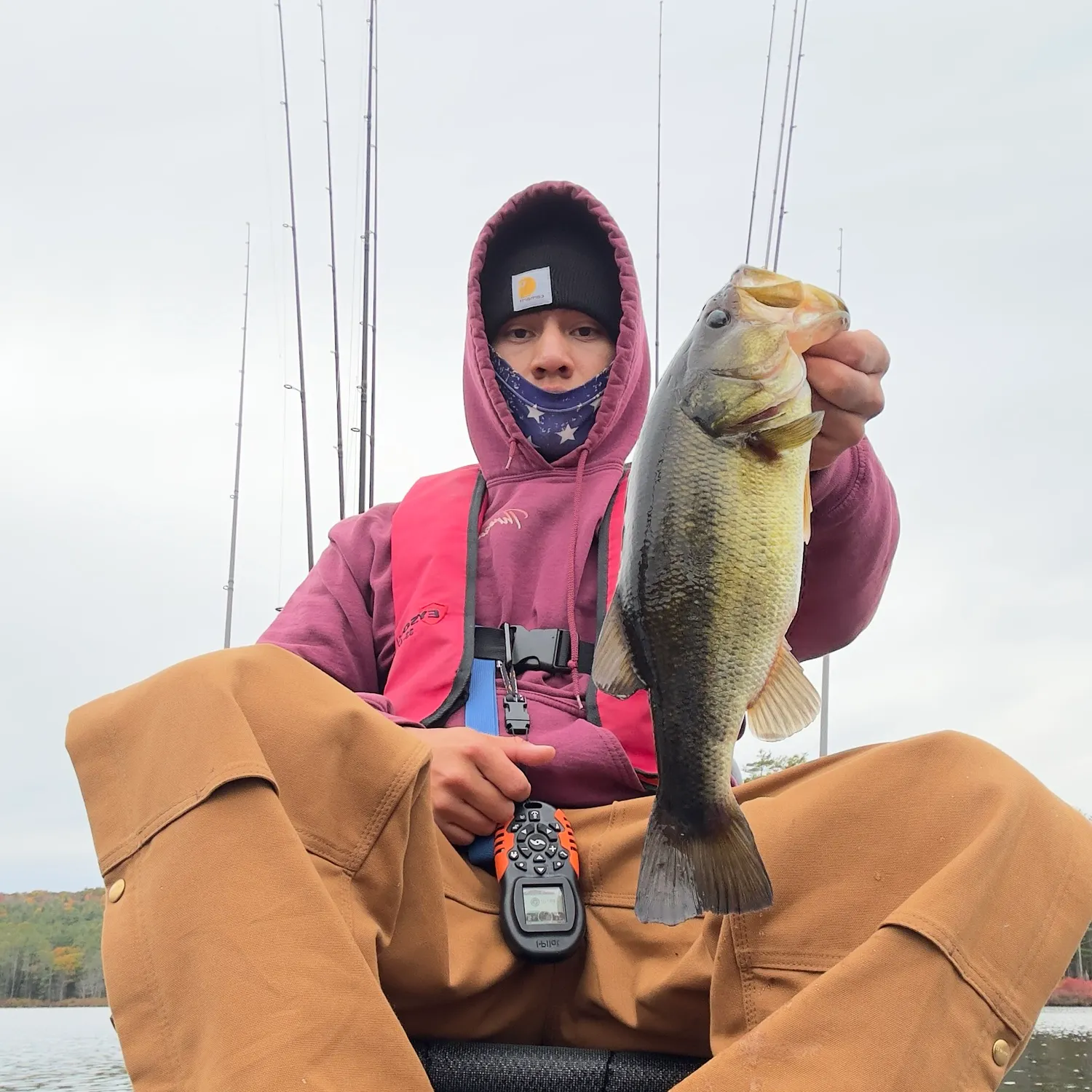 Largemouth bass caught on Fishbrain