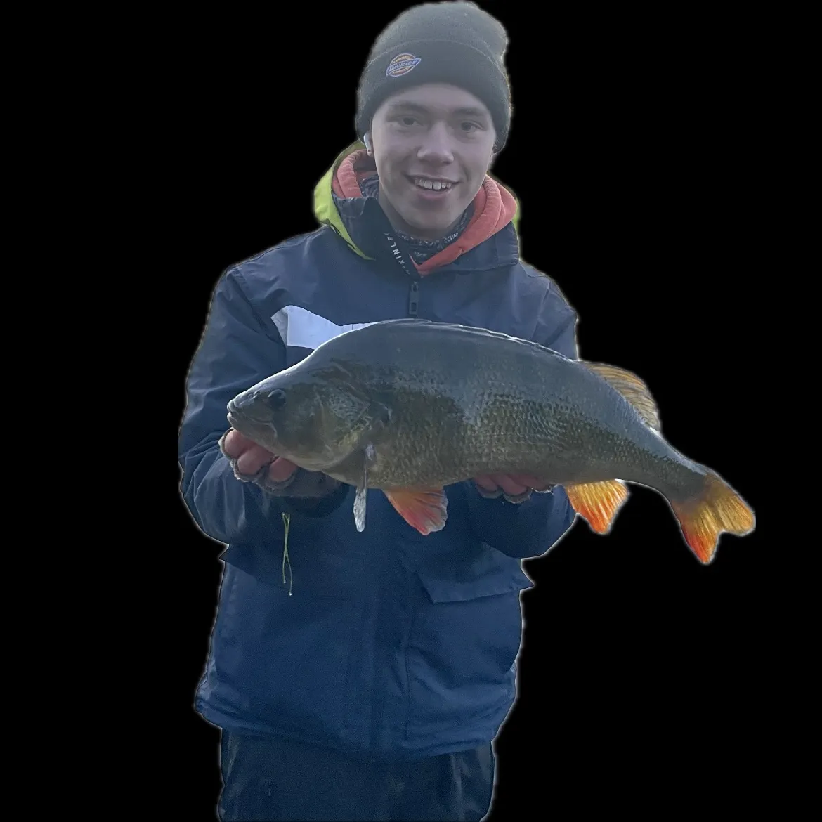 The most recent European perch catches on Fishbrain
