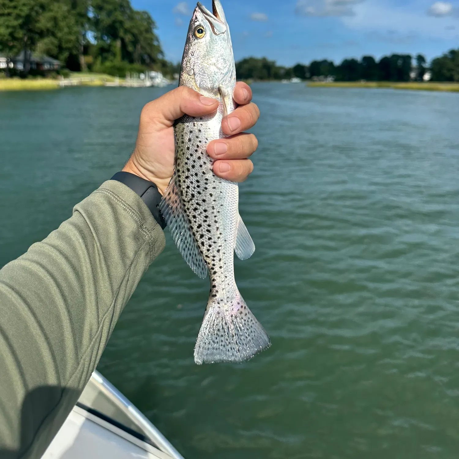 Spotted seatrout caught on Fishbrain