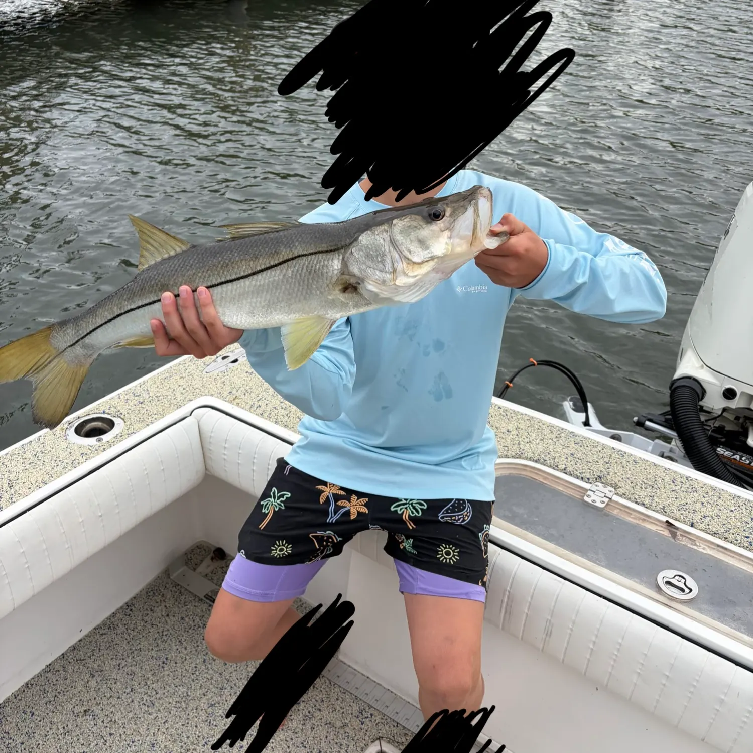 Common snook caught on Fishbrain