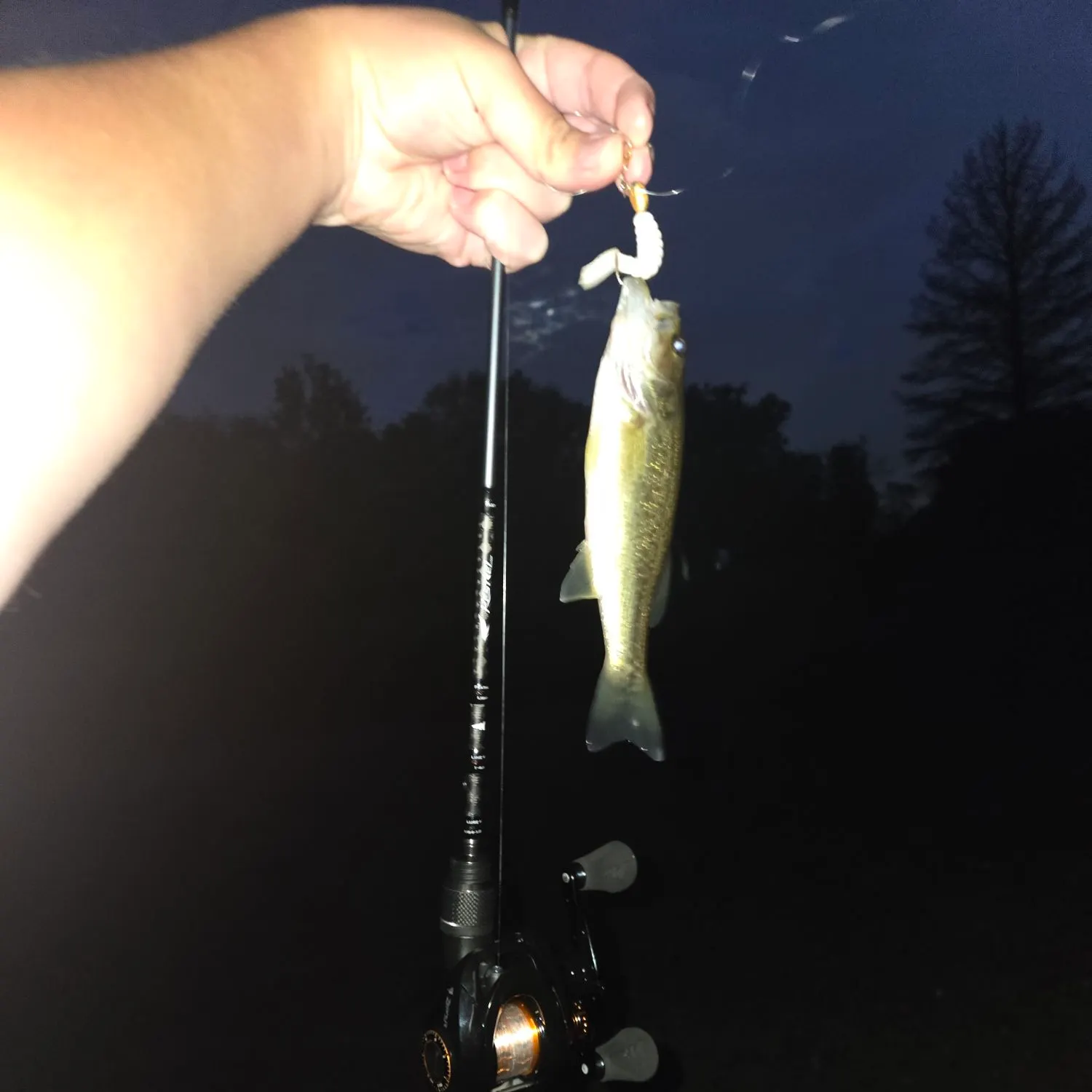 Largemouth bass caught on Fishbrain