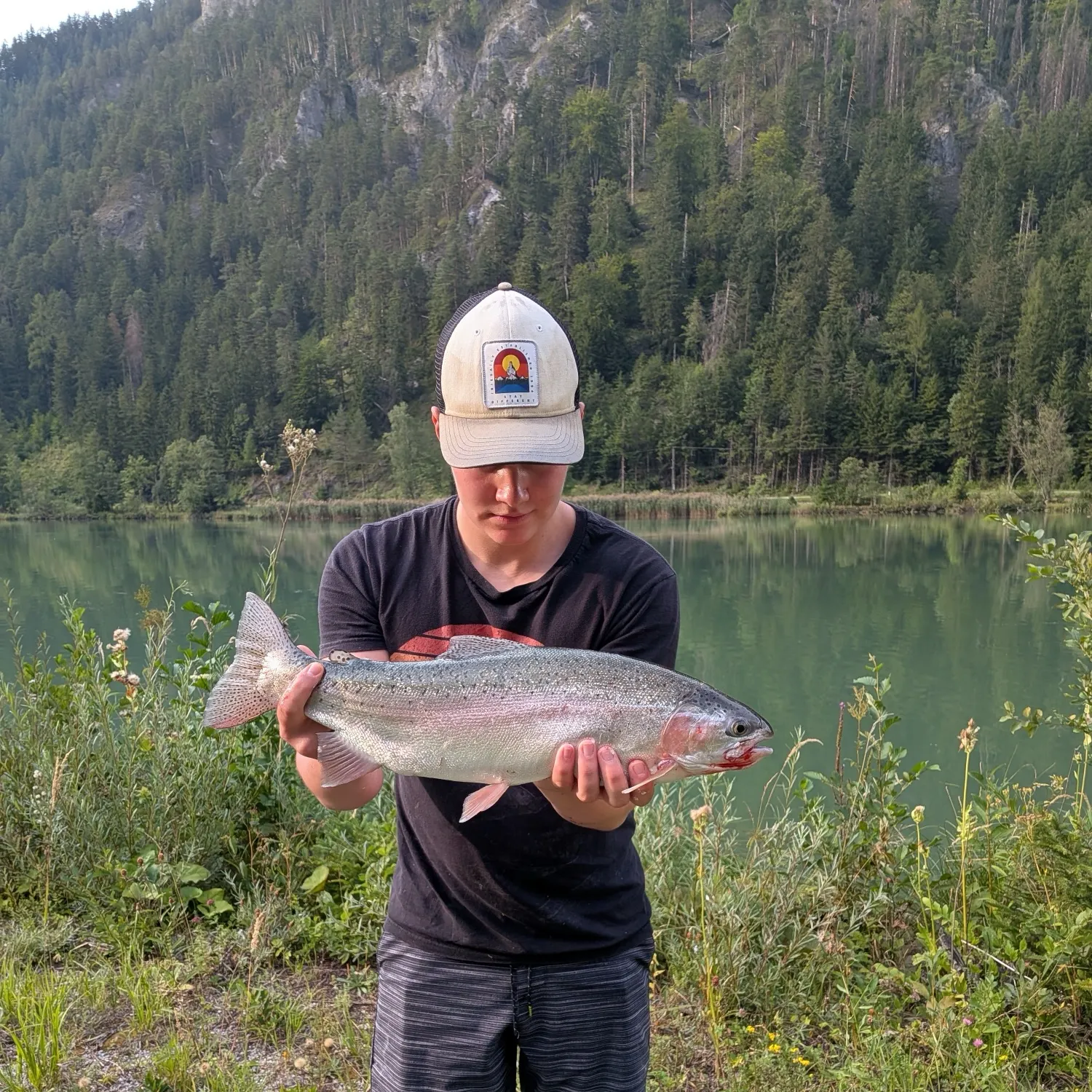 The most recent Rainbow trout catches on Fishbrain