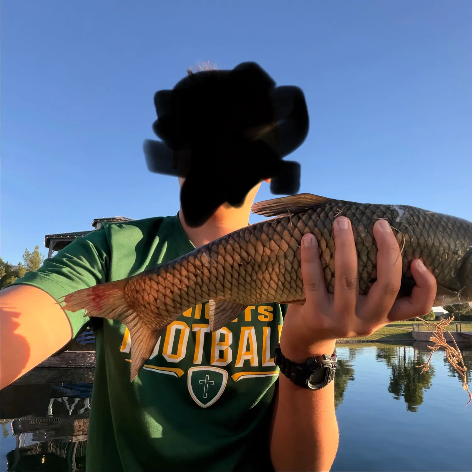 Grass carp caught on Fishbrain