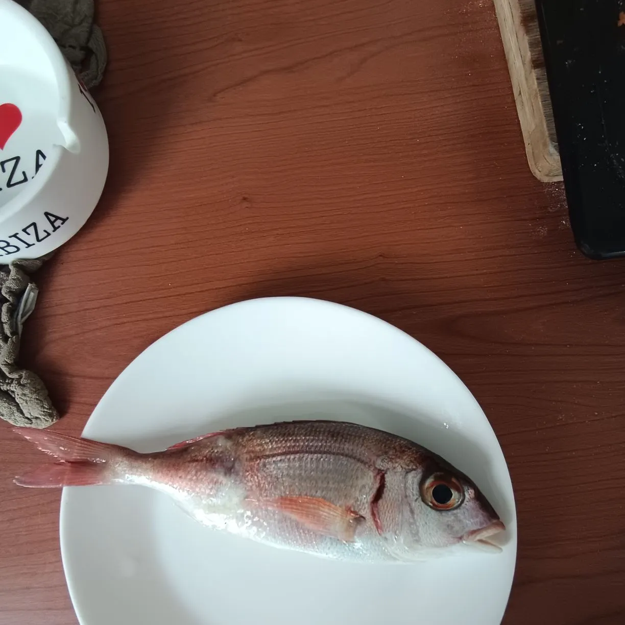 The most recent Common pandora catches on Fishbrain
