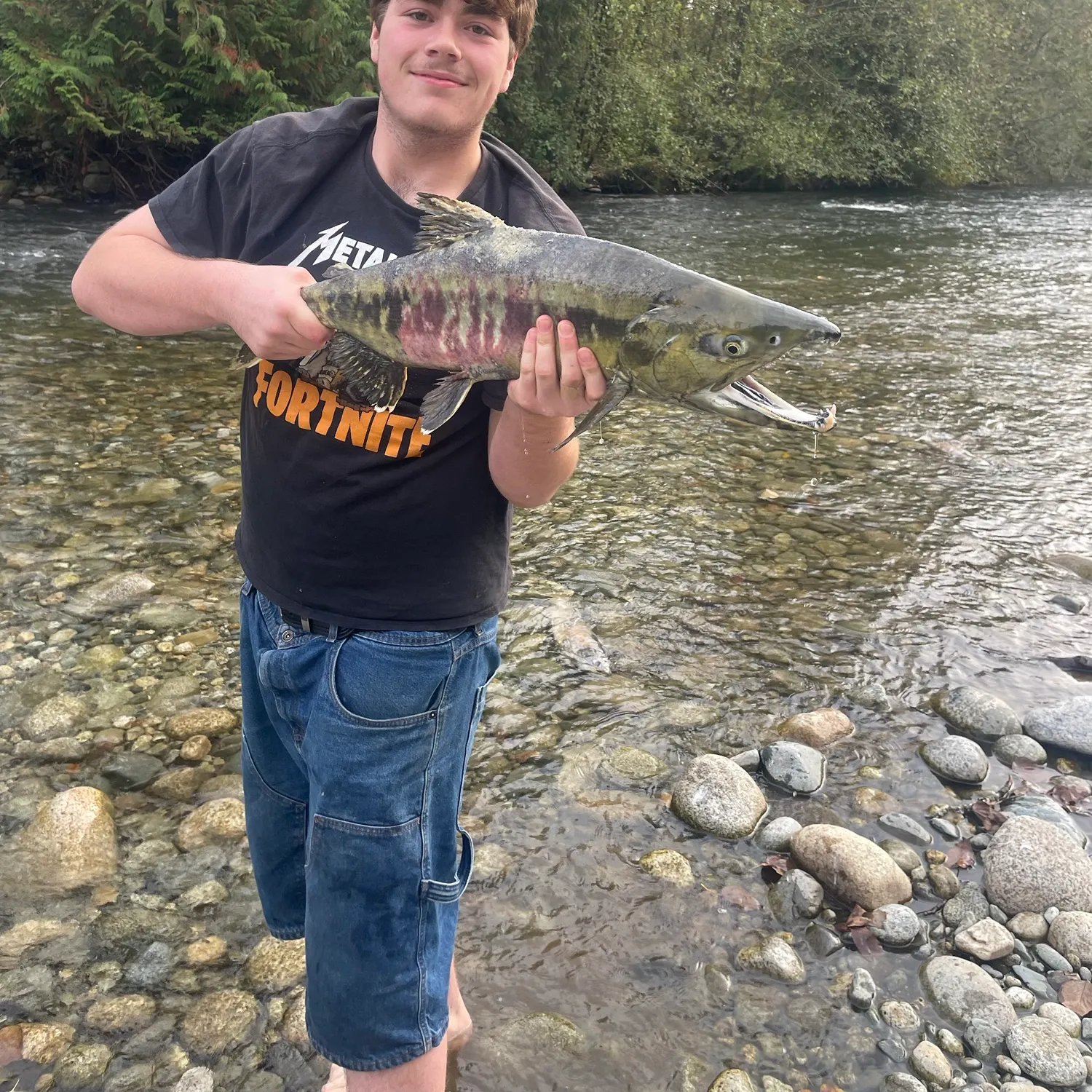 Chum salmon caught on Fishbrain