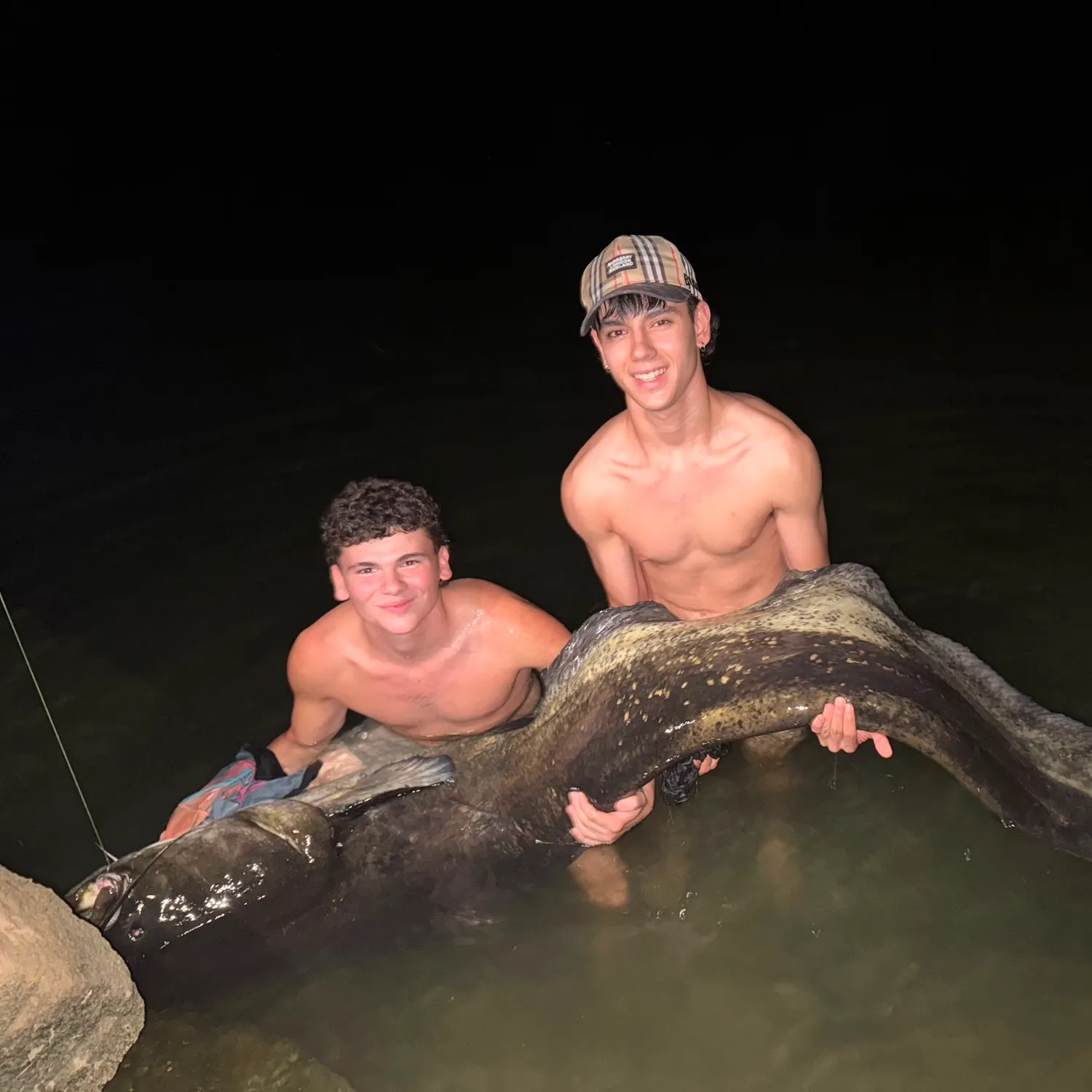 The most recent Wels catfish catches on Fishbrain