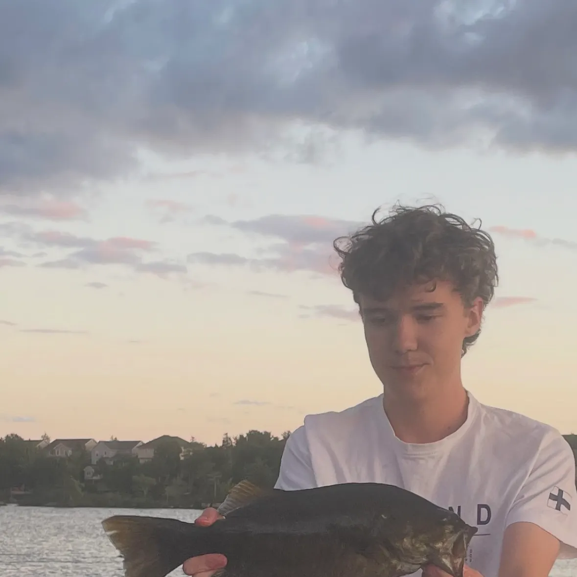 Smallmouth bass caught on Fishbrain