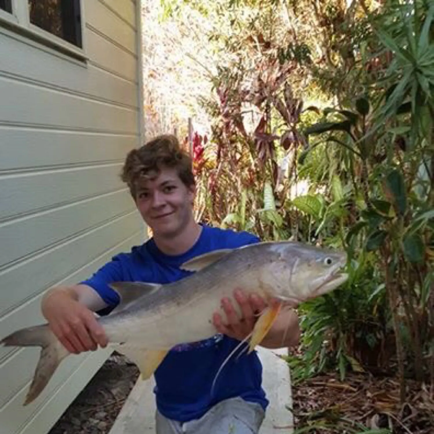 most liked catch image