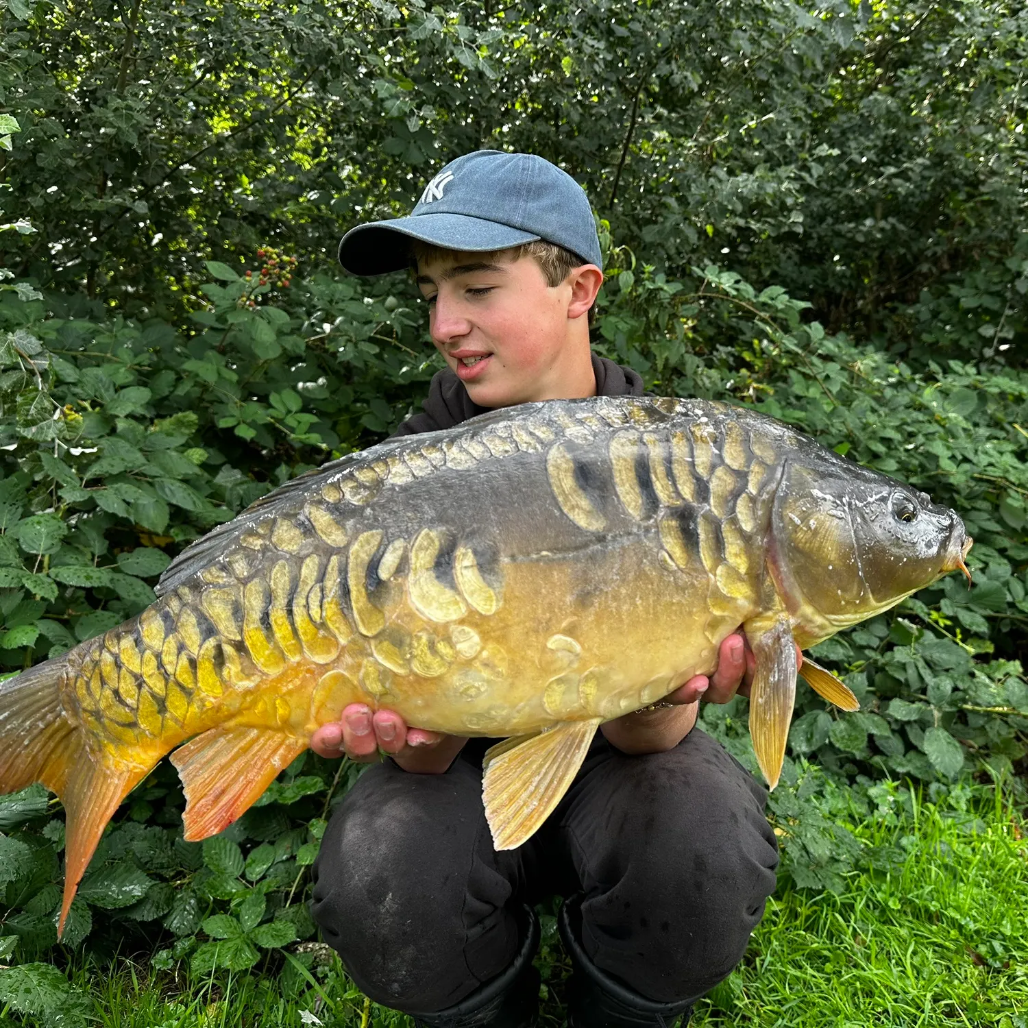Mirror carp caught on Fishbrain