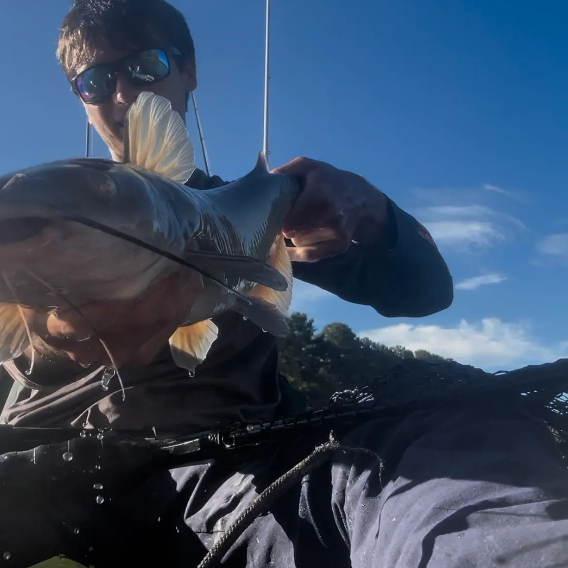 Channel catfish caught on Fishbrain