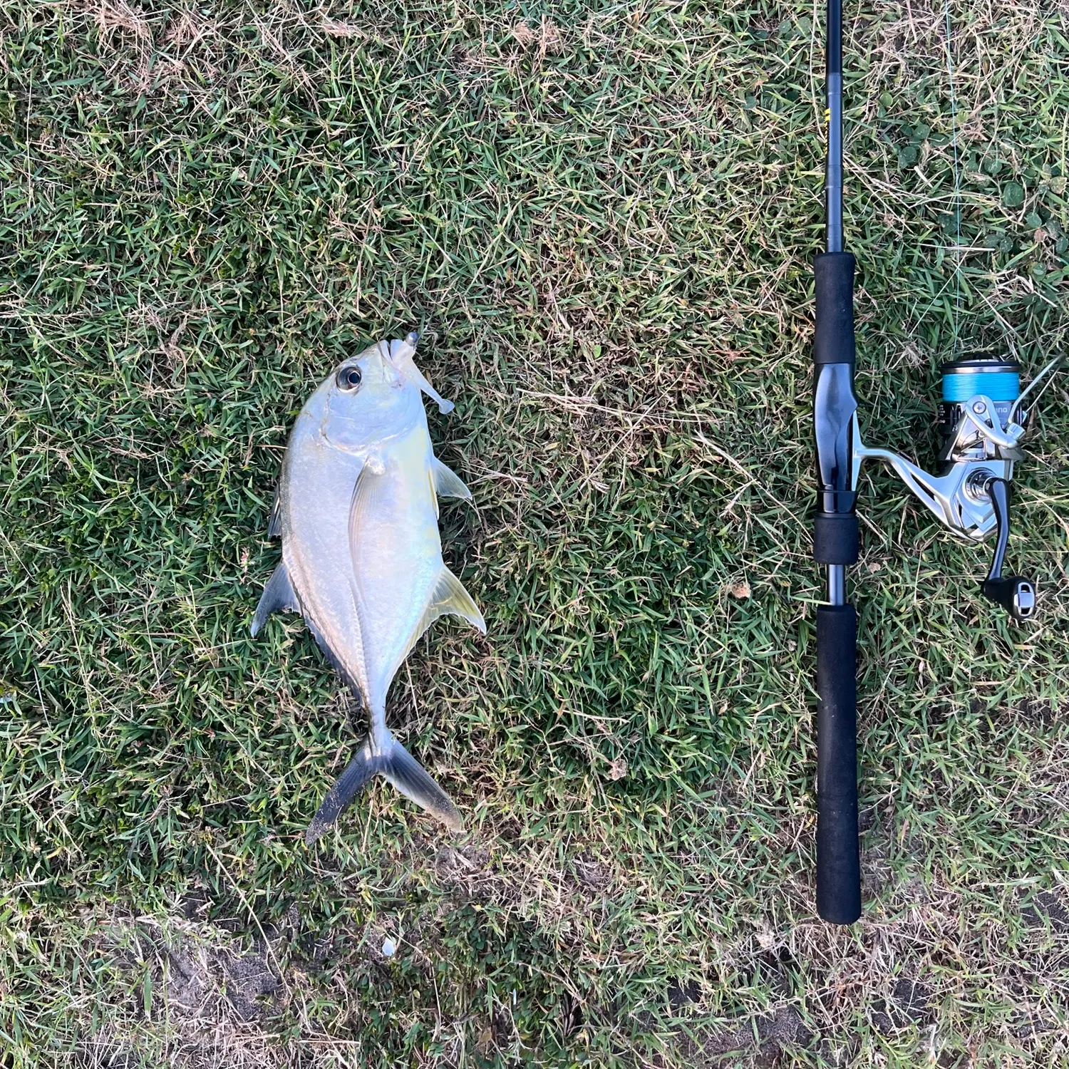 angler catch