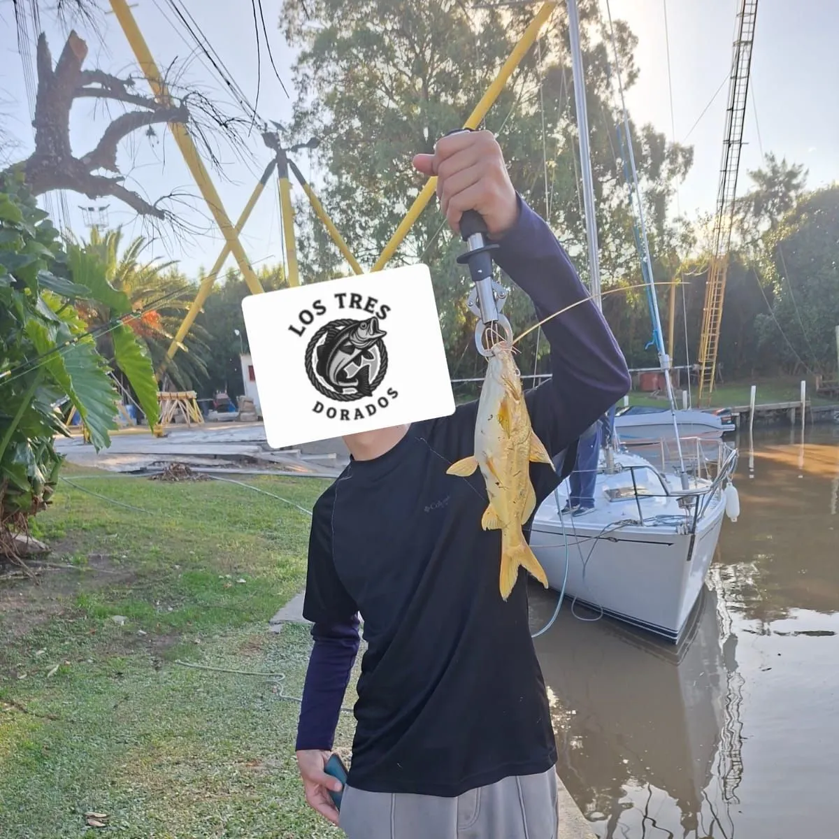 The most recent Spotted pimelodus catches on Fishbrain