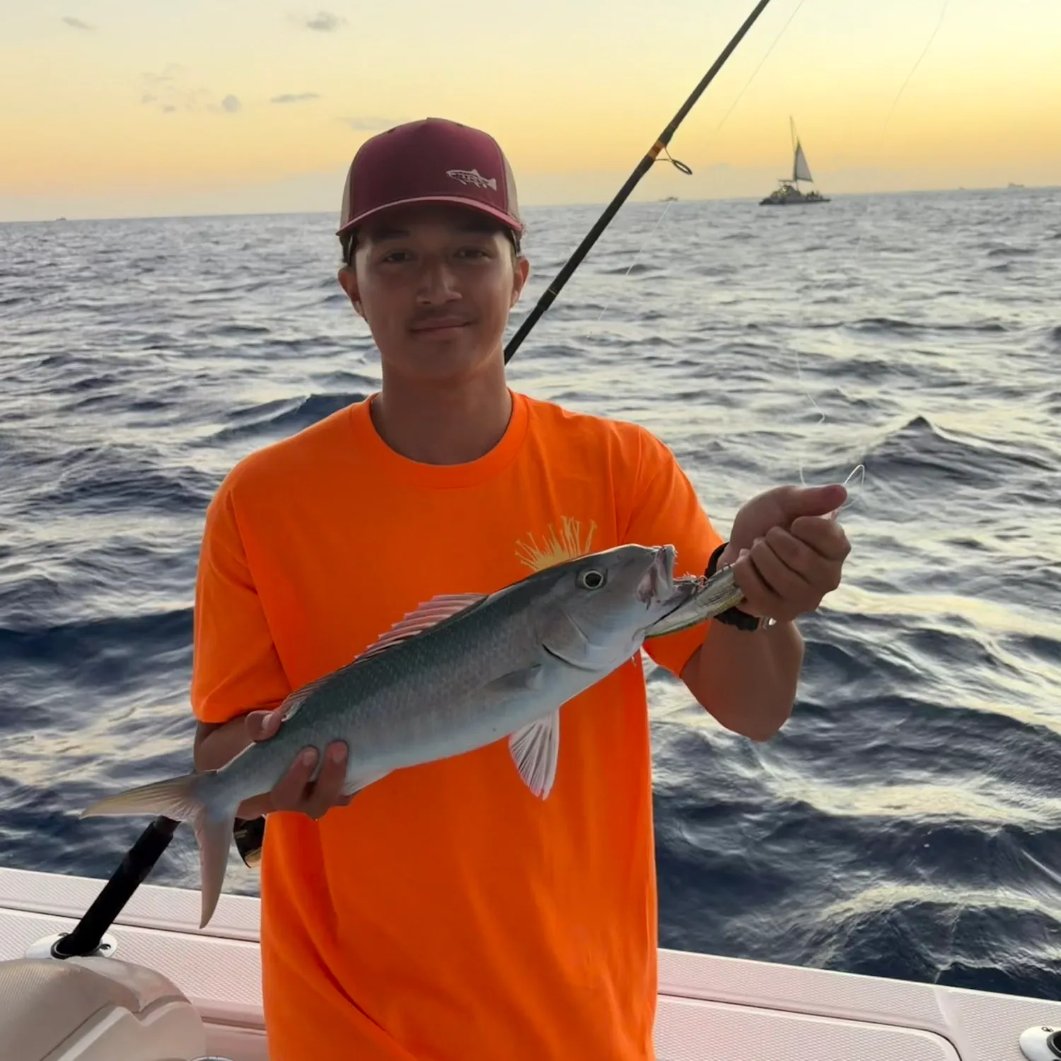 The most recent Green jobfish catches on Fishbrain