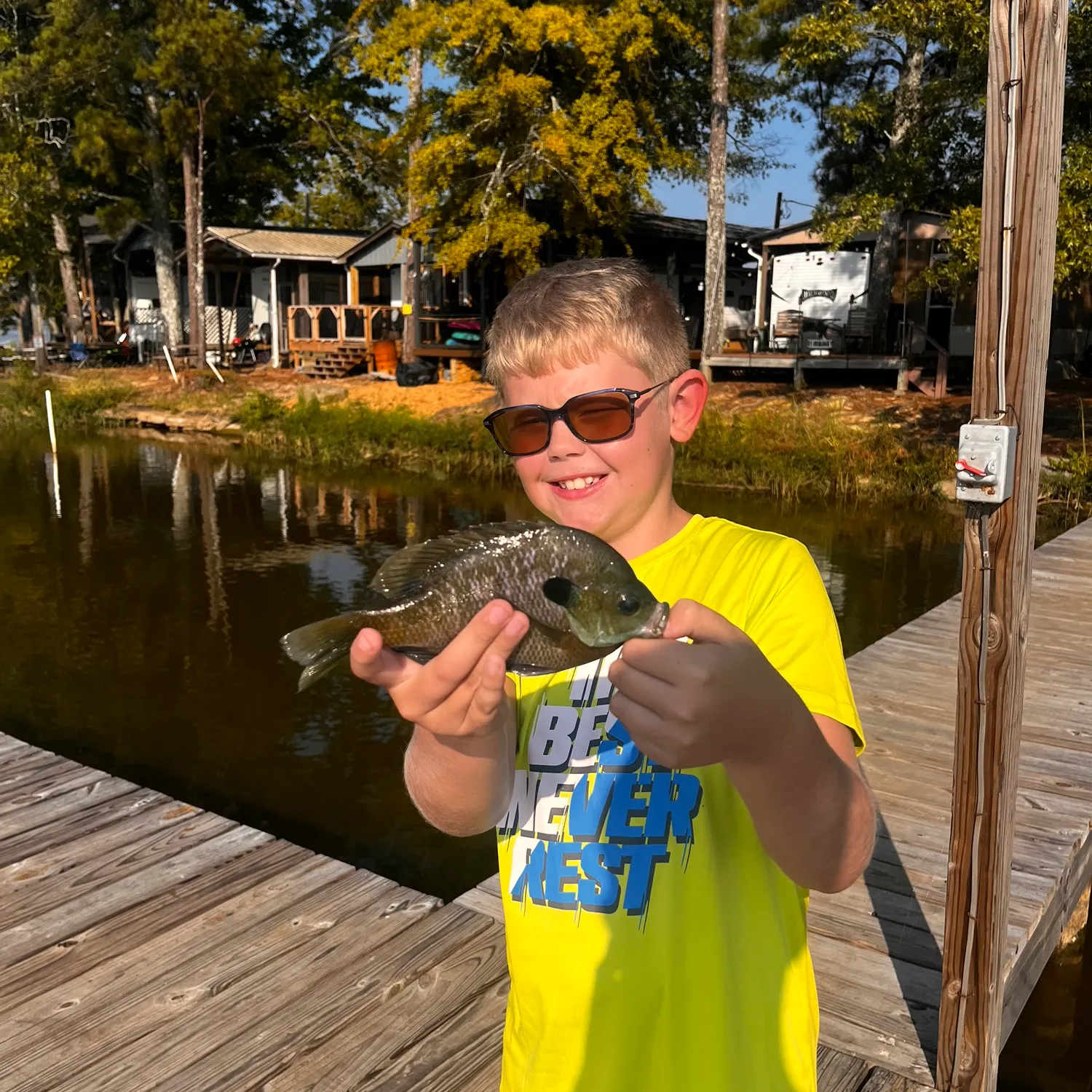 Bluegill caught on Fishbrain