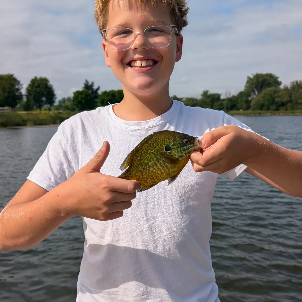 Green sunfish caught on Fishbrain