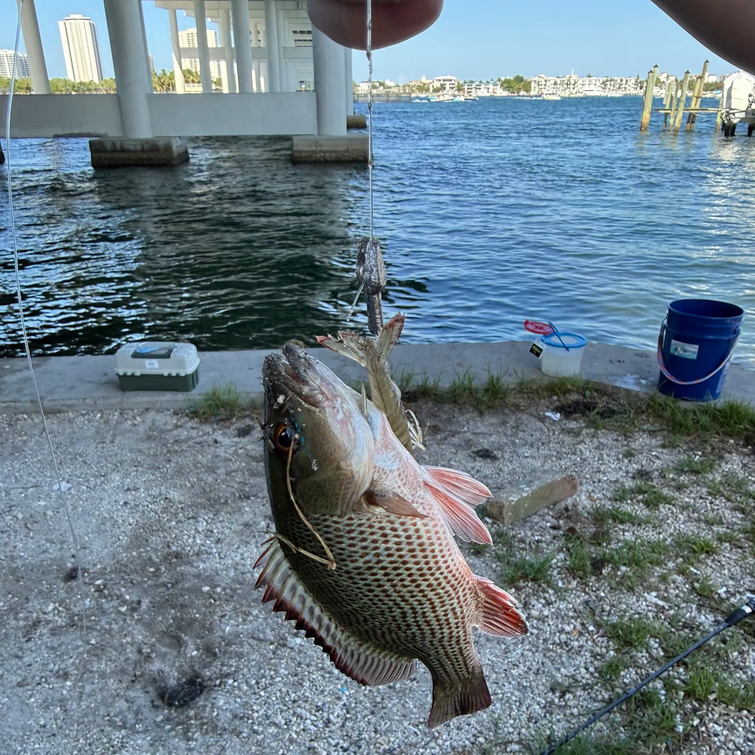 catch