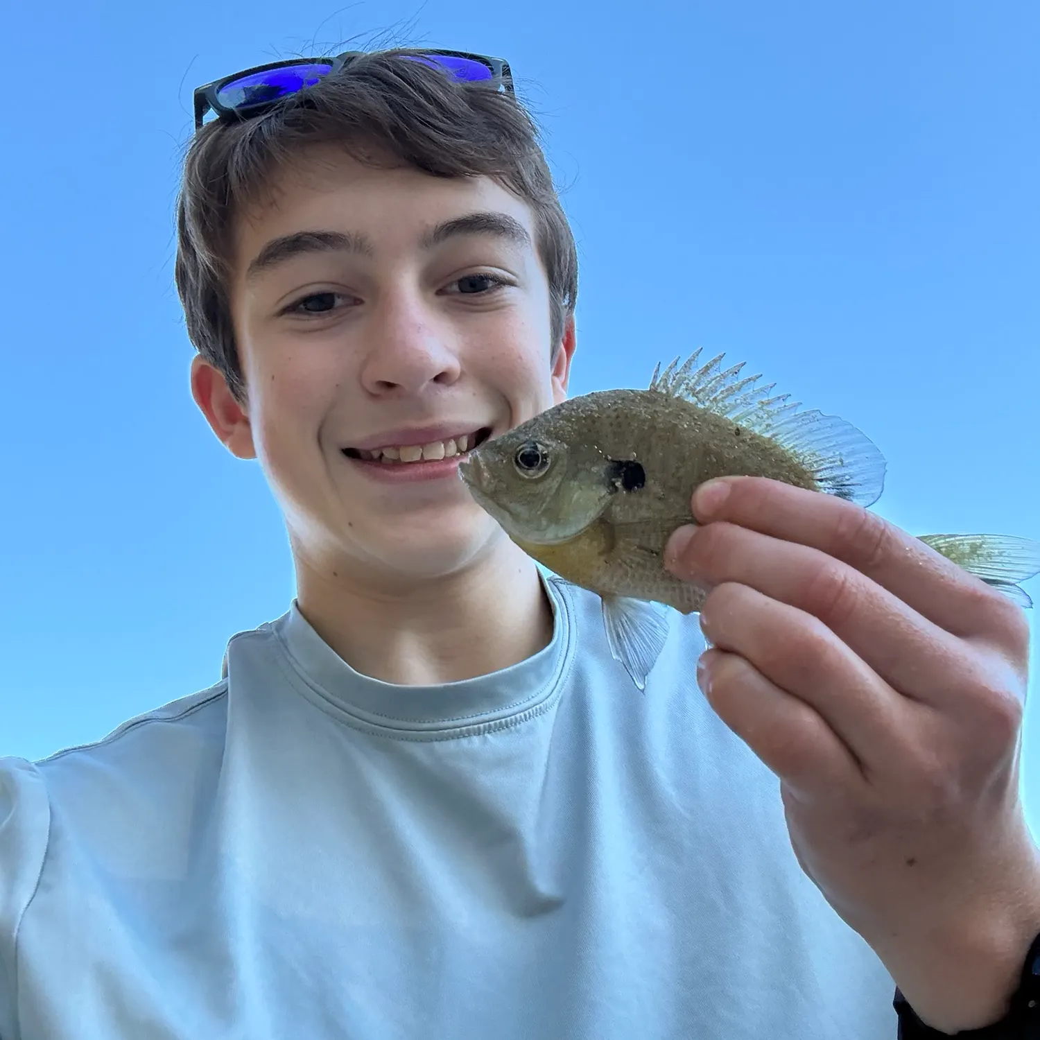 Bluegill caught on Fishbrain