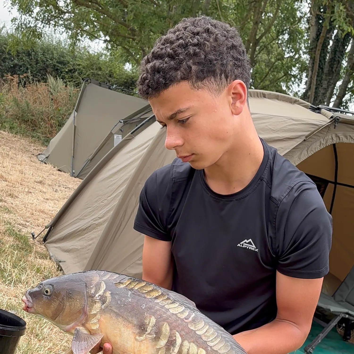 Mirror carp caught on Fishbrain