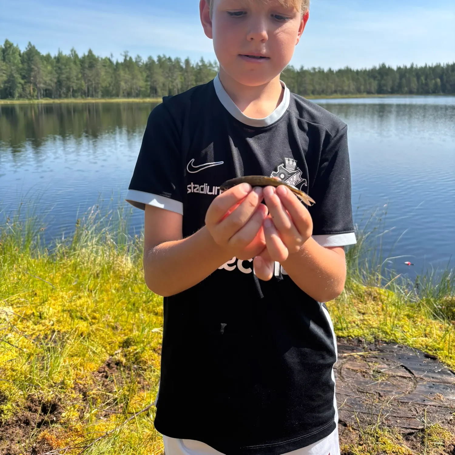 The most recent Ninespine stickleback catches on Fishbrain
