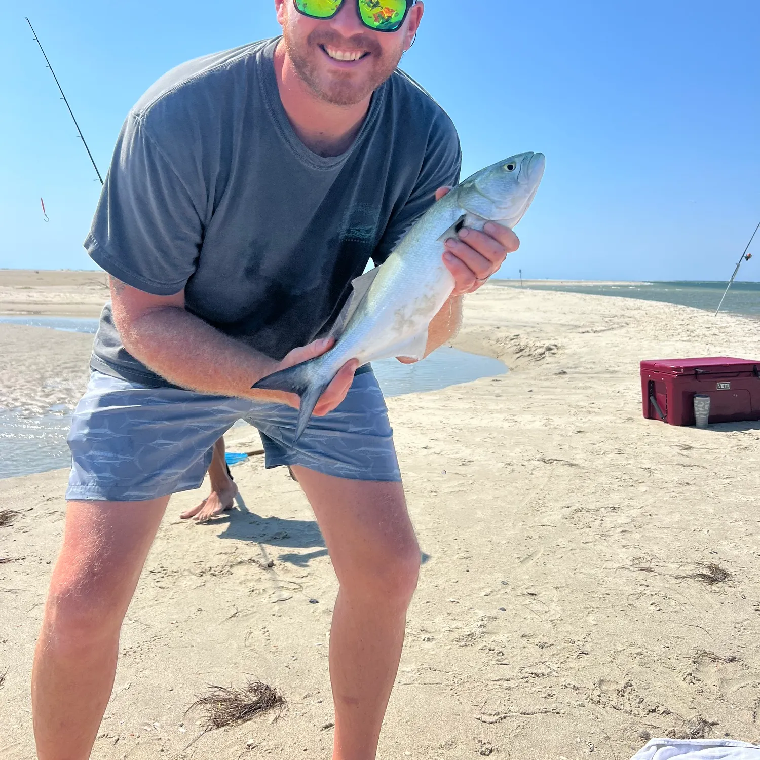 Bluefish caught on Fishbrain