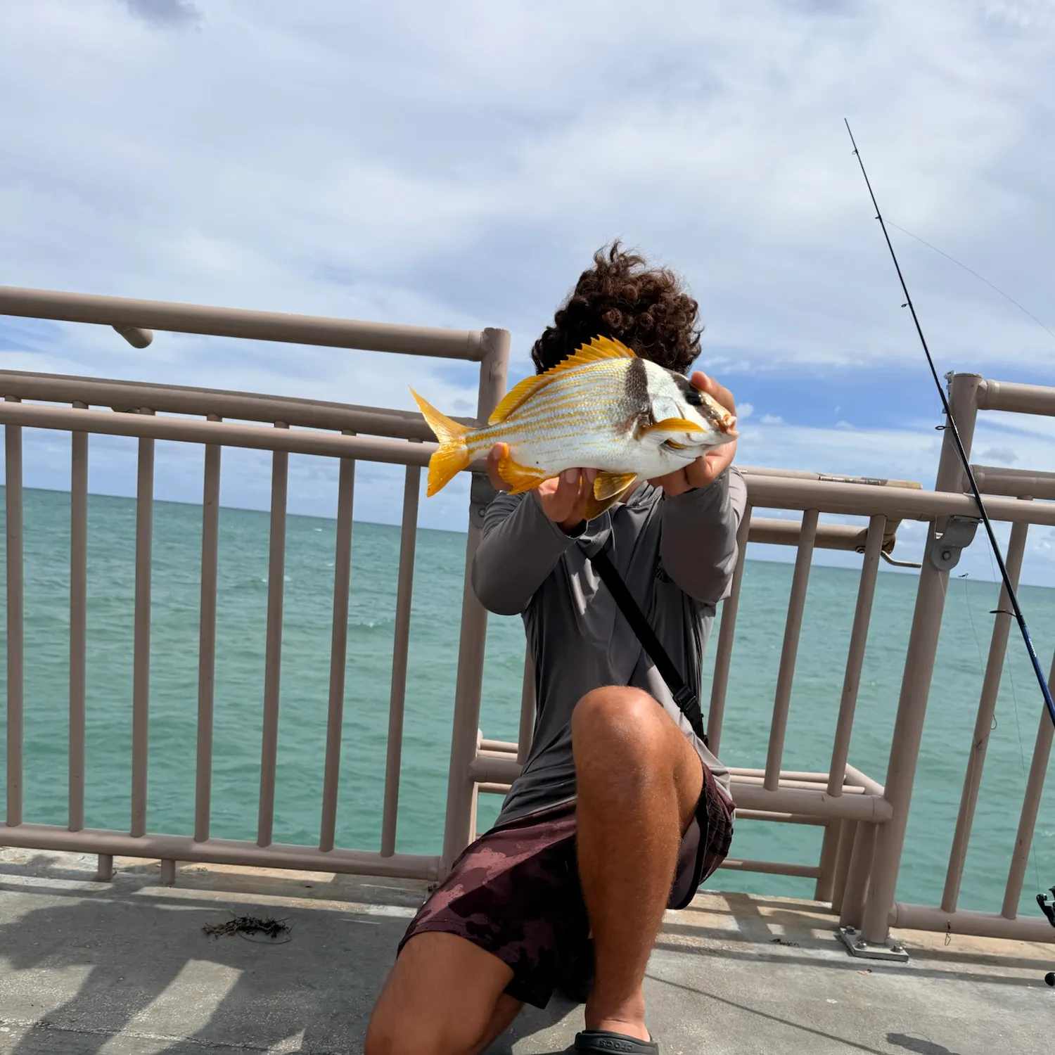 Atlantic porkfish caught on Fishbrain