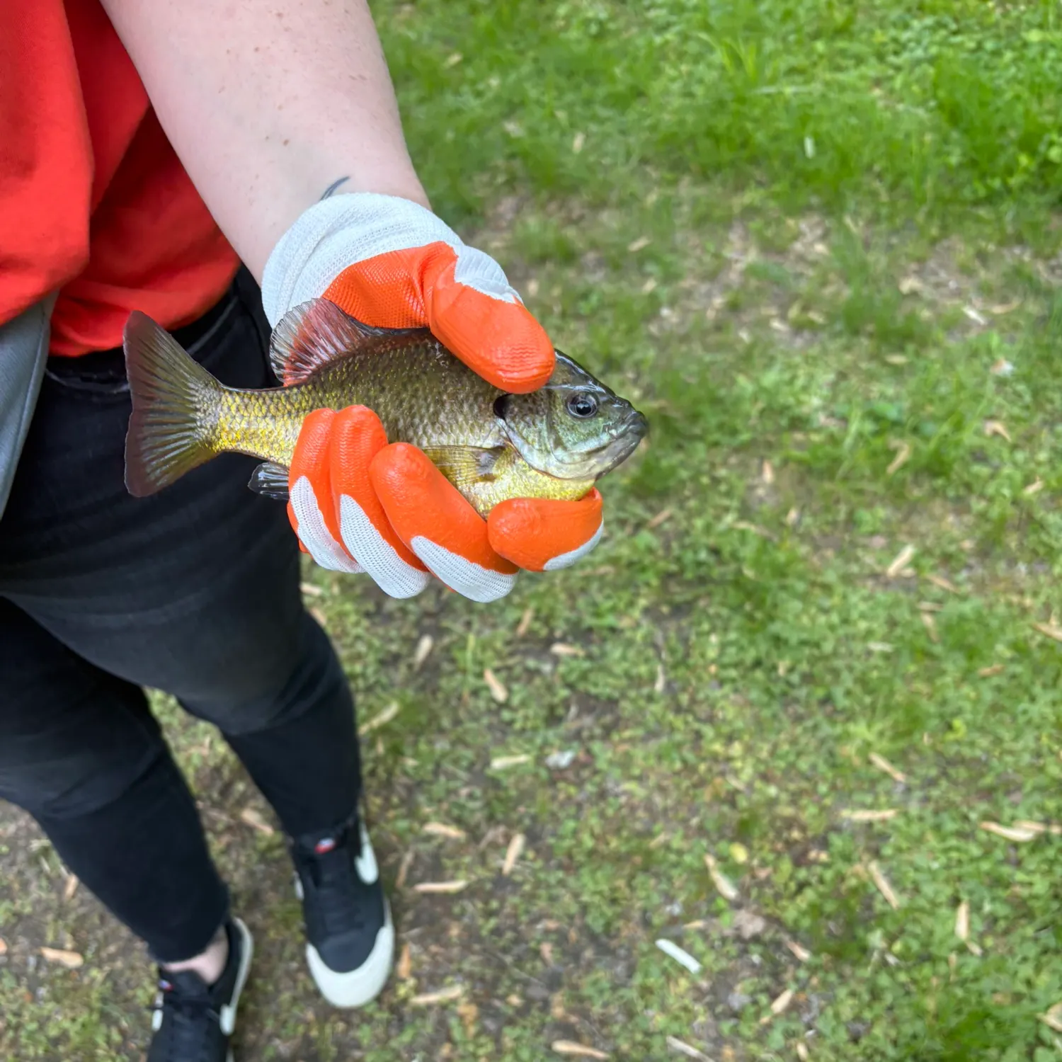 catch