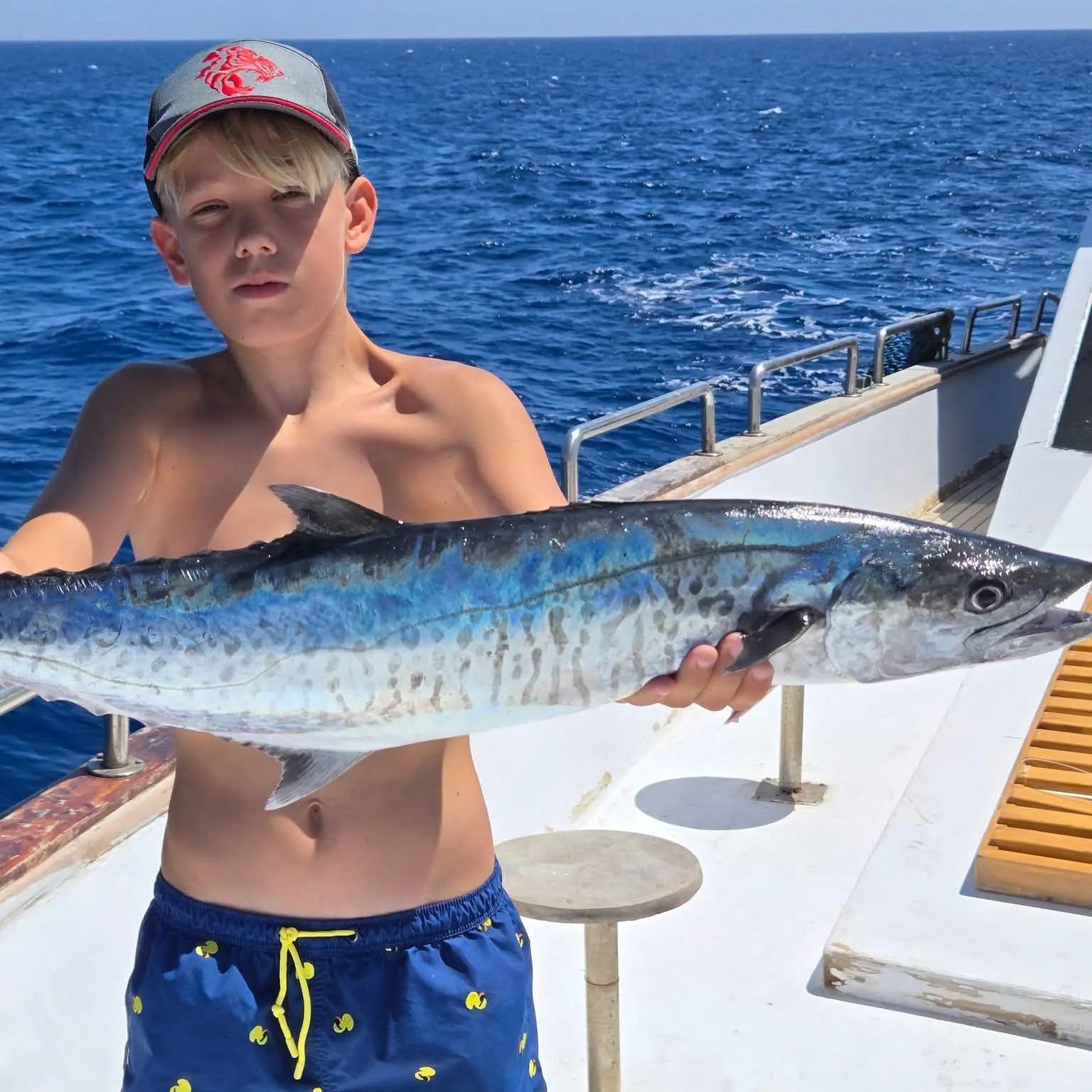 The most recent Narrow-barred Spanish mackerel catches on Fishbrain