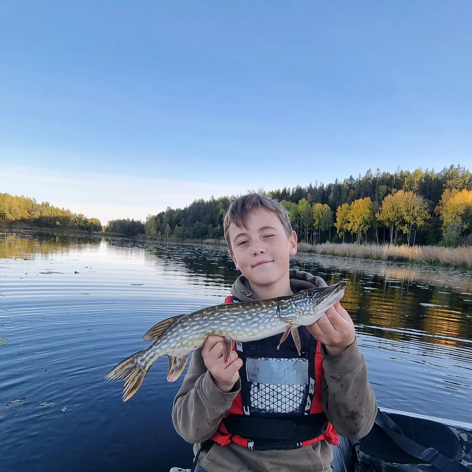Northern pike caught on Fishbrain