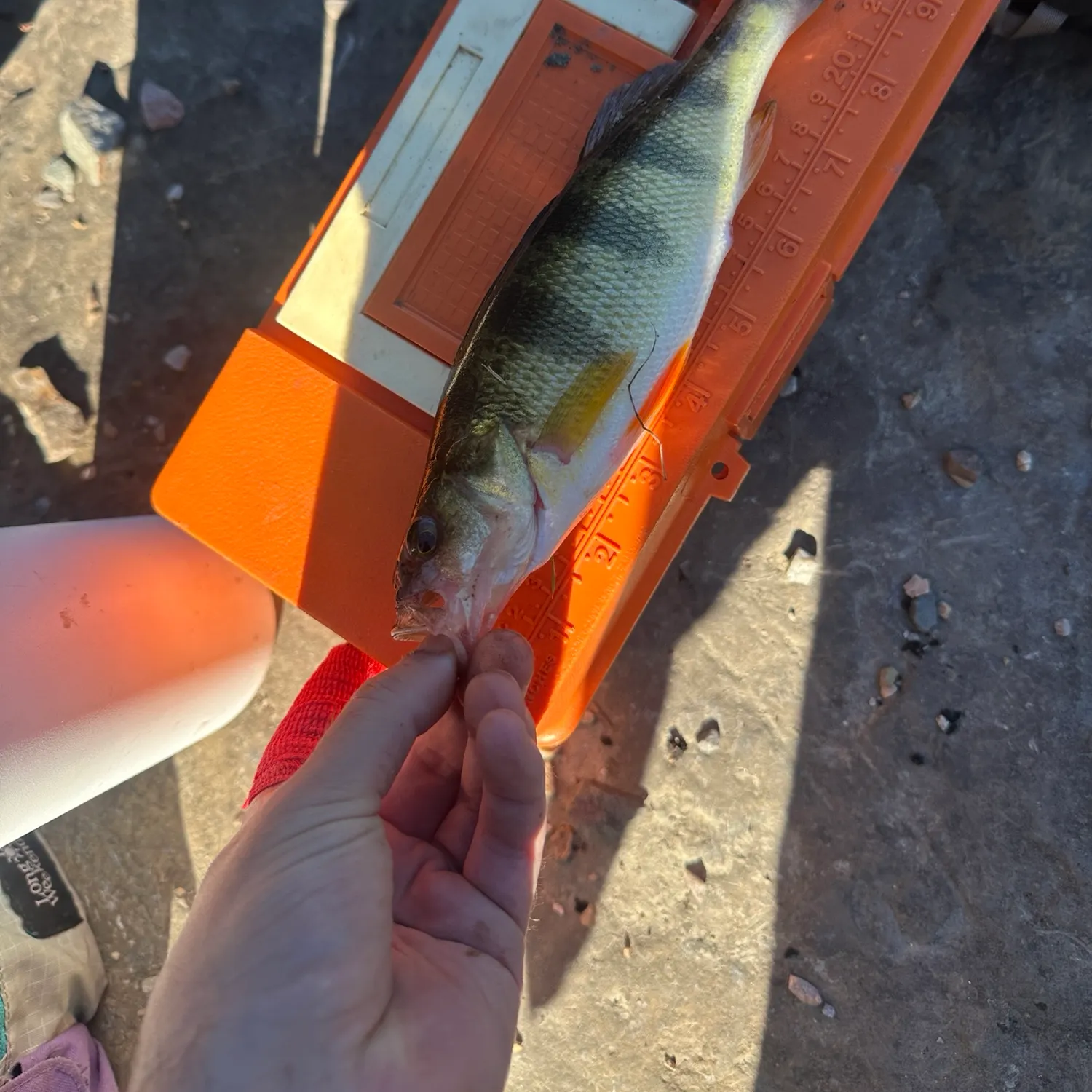 catch
