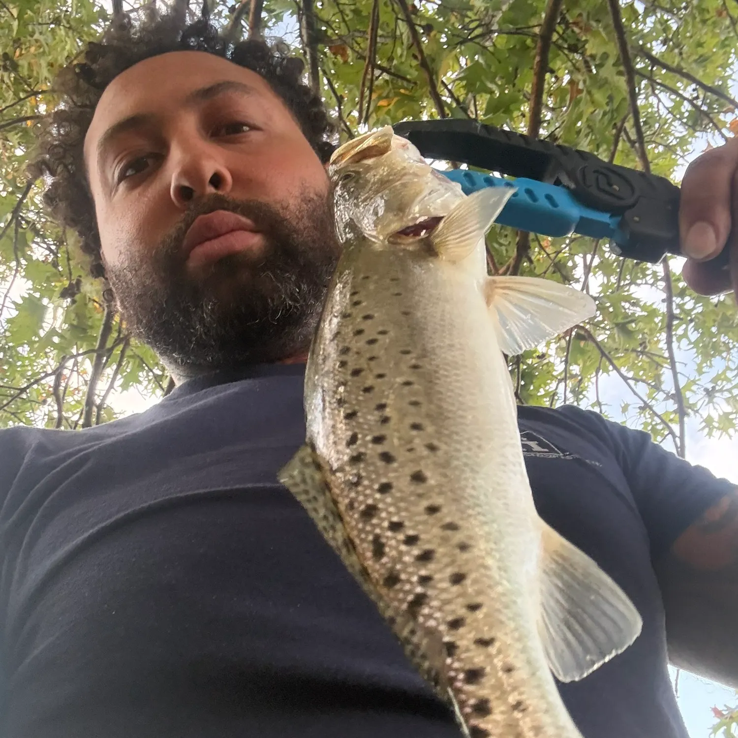 Spotted seatrout caught on Fishbrain