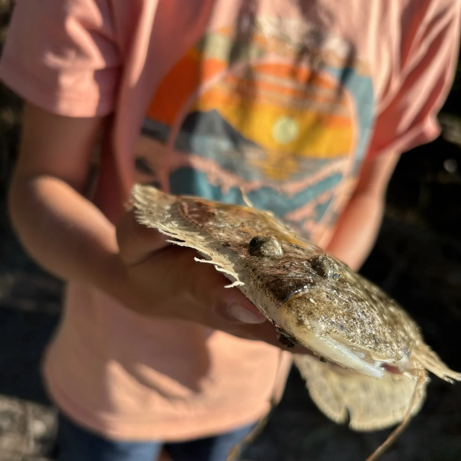 The most recent Southern flounder catches on Fishbrain