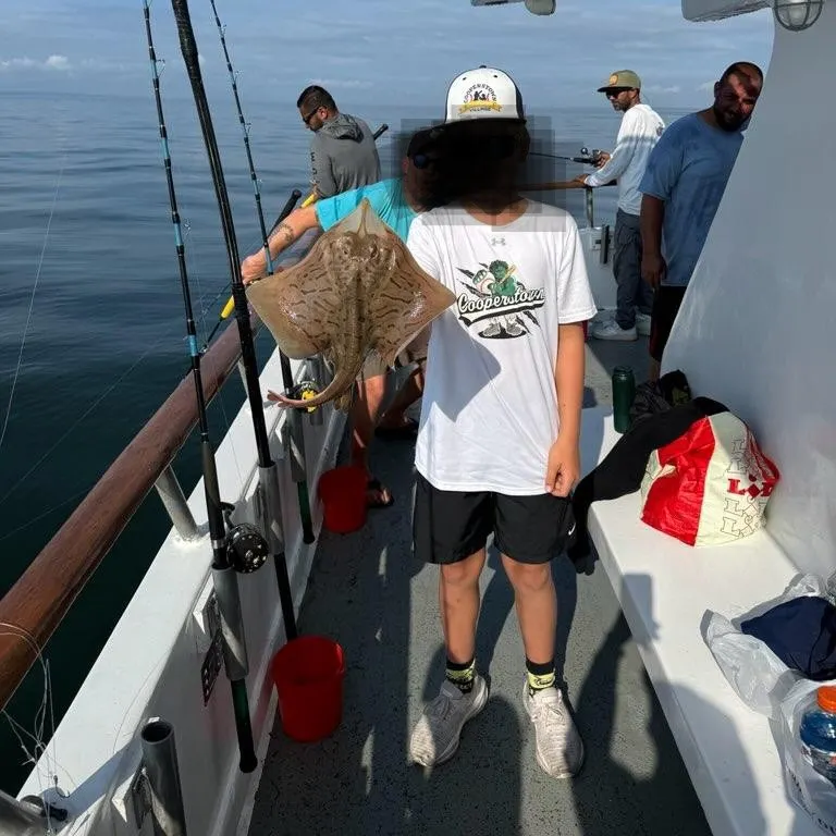 The most recent Blue skate catches on Fishbrain