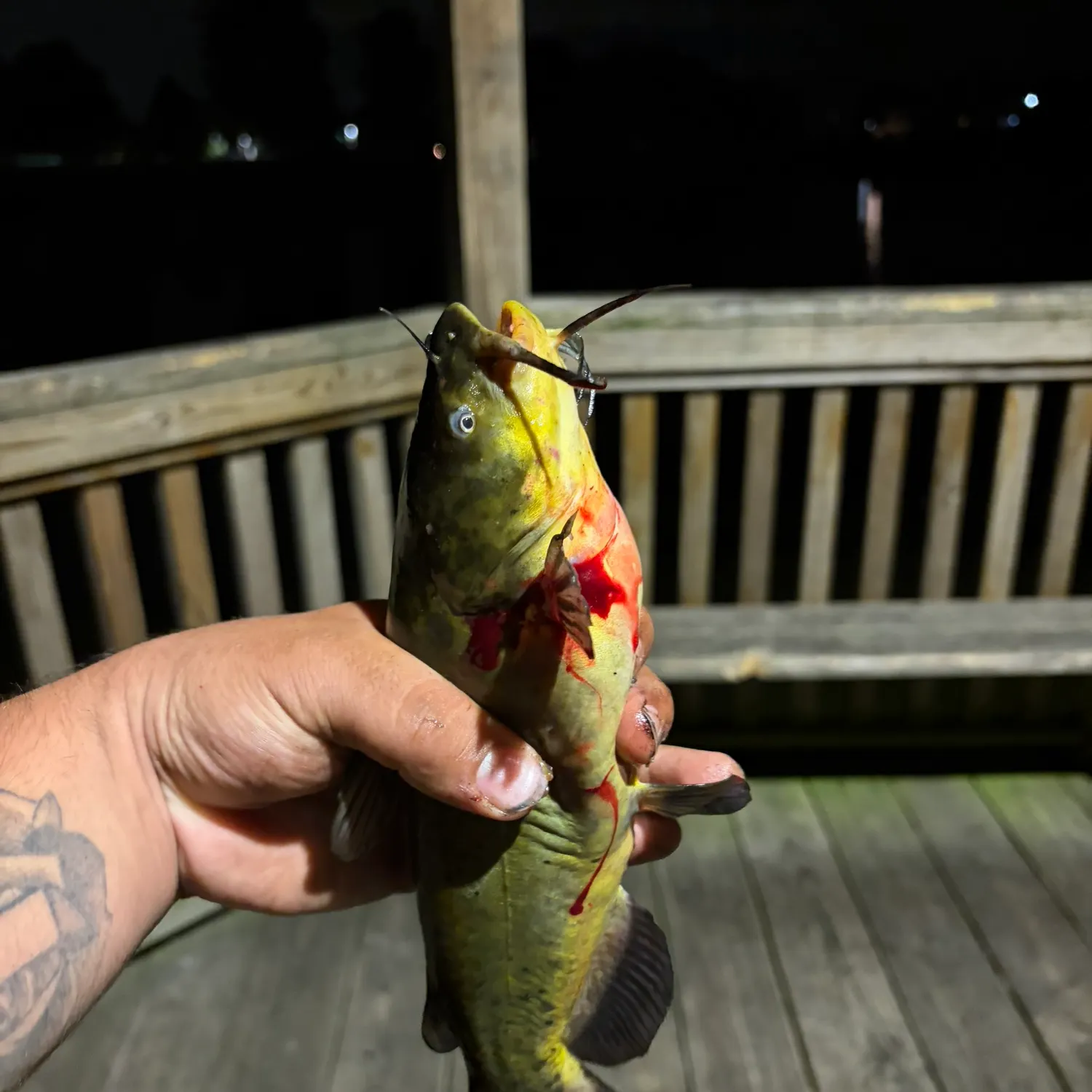 catch