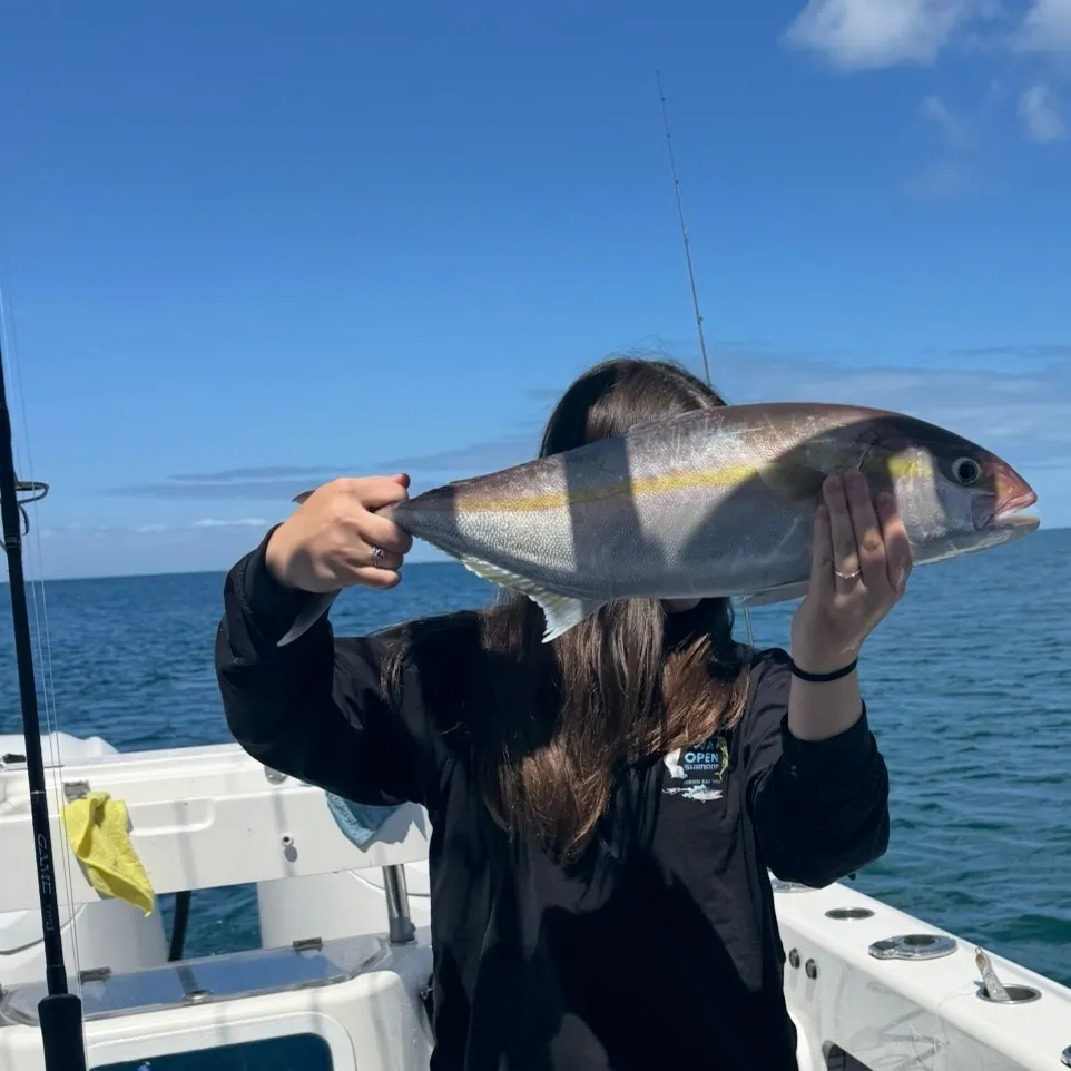 The most recent Almaco jack catches on Fishbrain